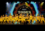 Todes (Zapadniy Subdistrict, Lunnaya Street, 4), dance school