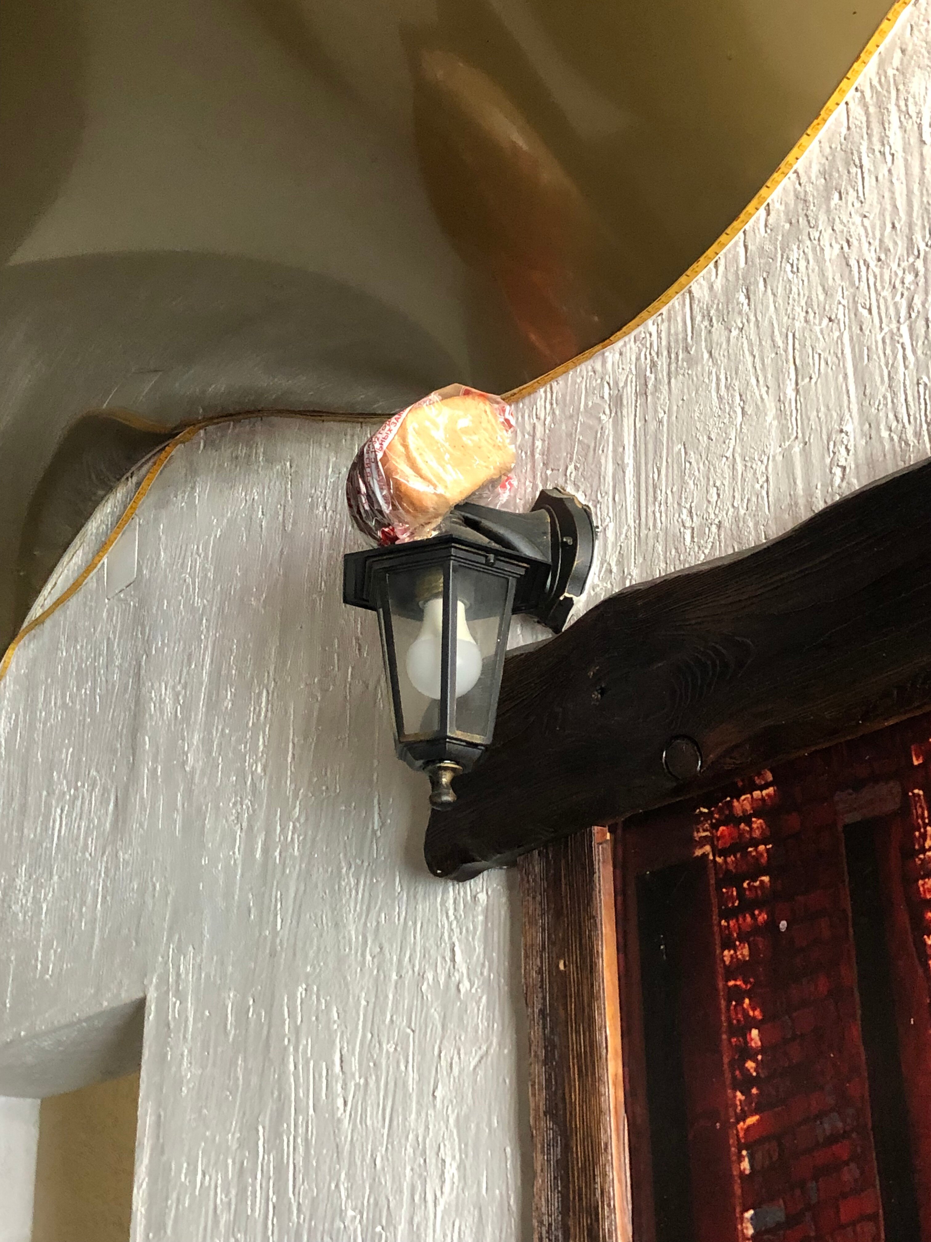 Фото Золотое крыло