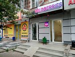 Wildberries (Revolyutsionnaya Street, 99), point of delivery