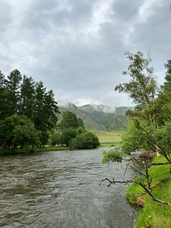 Фото Алтайские дачи