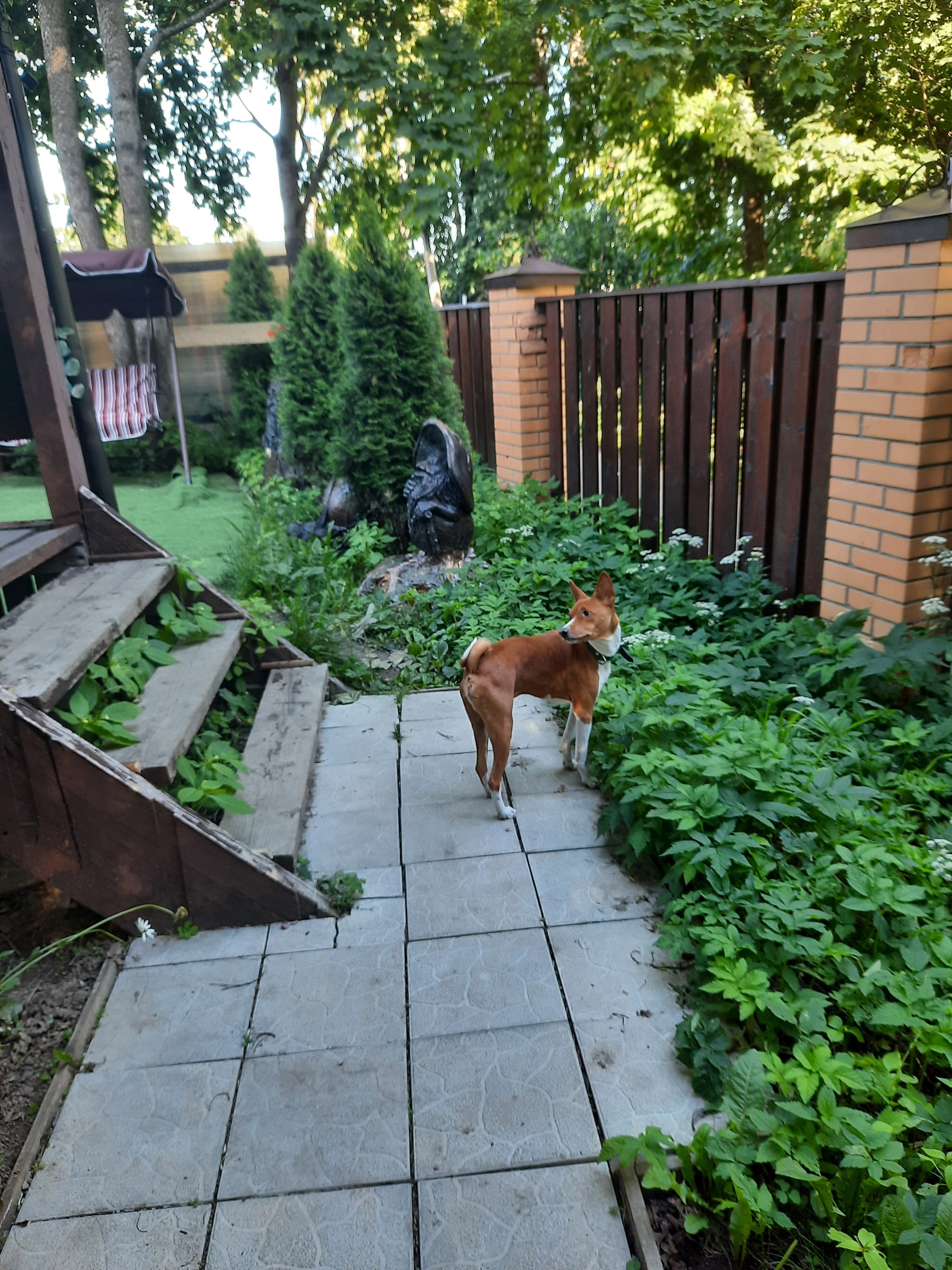 Фото Коттедж Хеппо