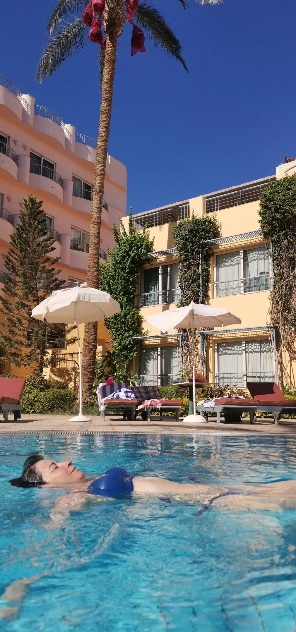 Фото Sea Garden Hotel