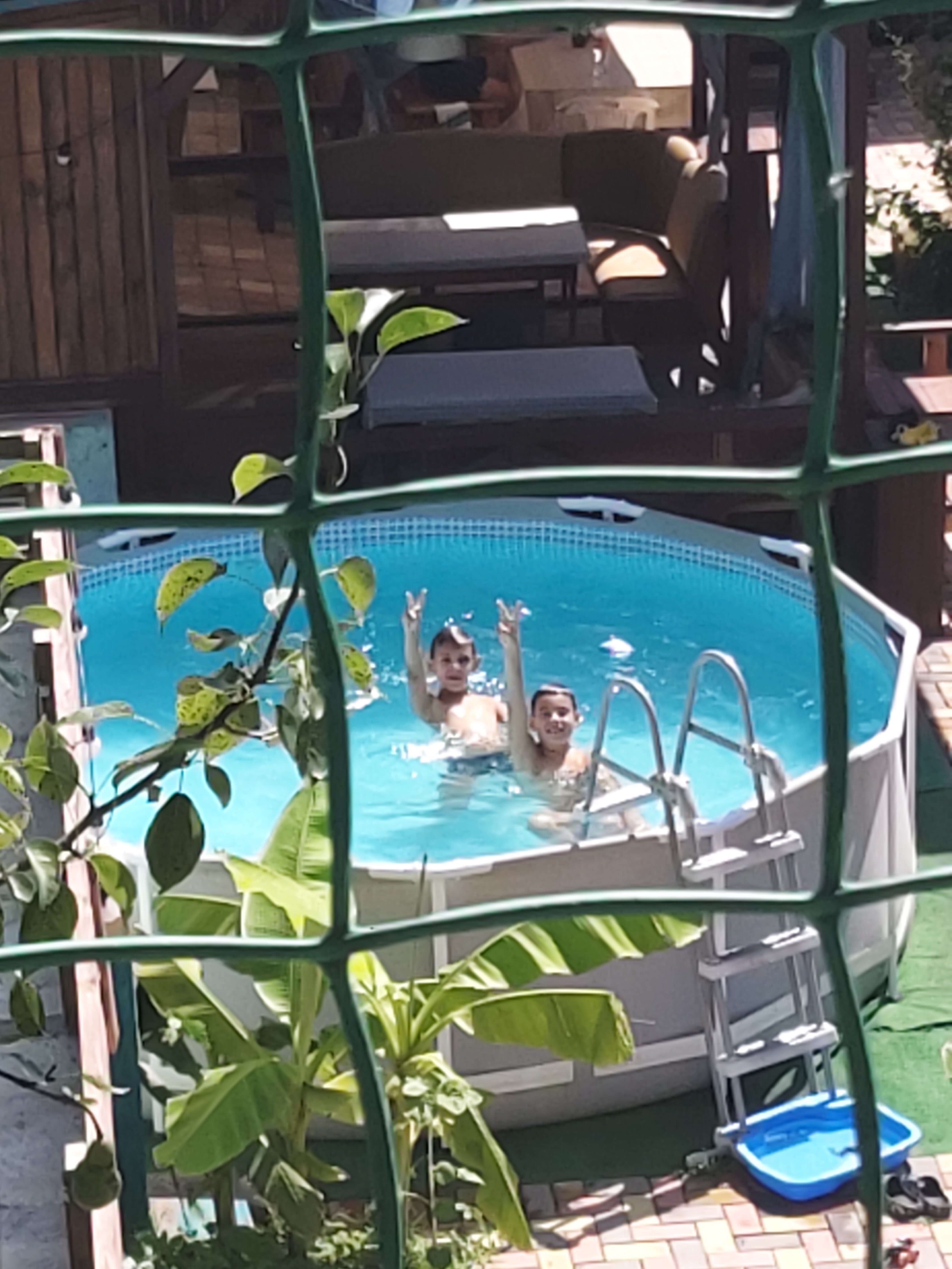 Фото Мандаринка