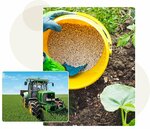 Fertagro Africa Dmcc (M Road, Community Jabal Ali 1, Jebel Ali, Dubai), fertilizers