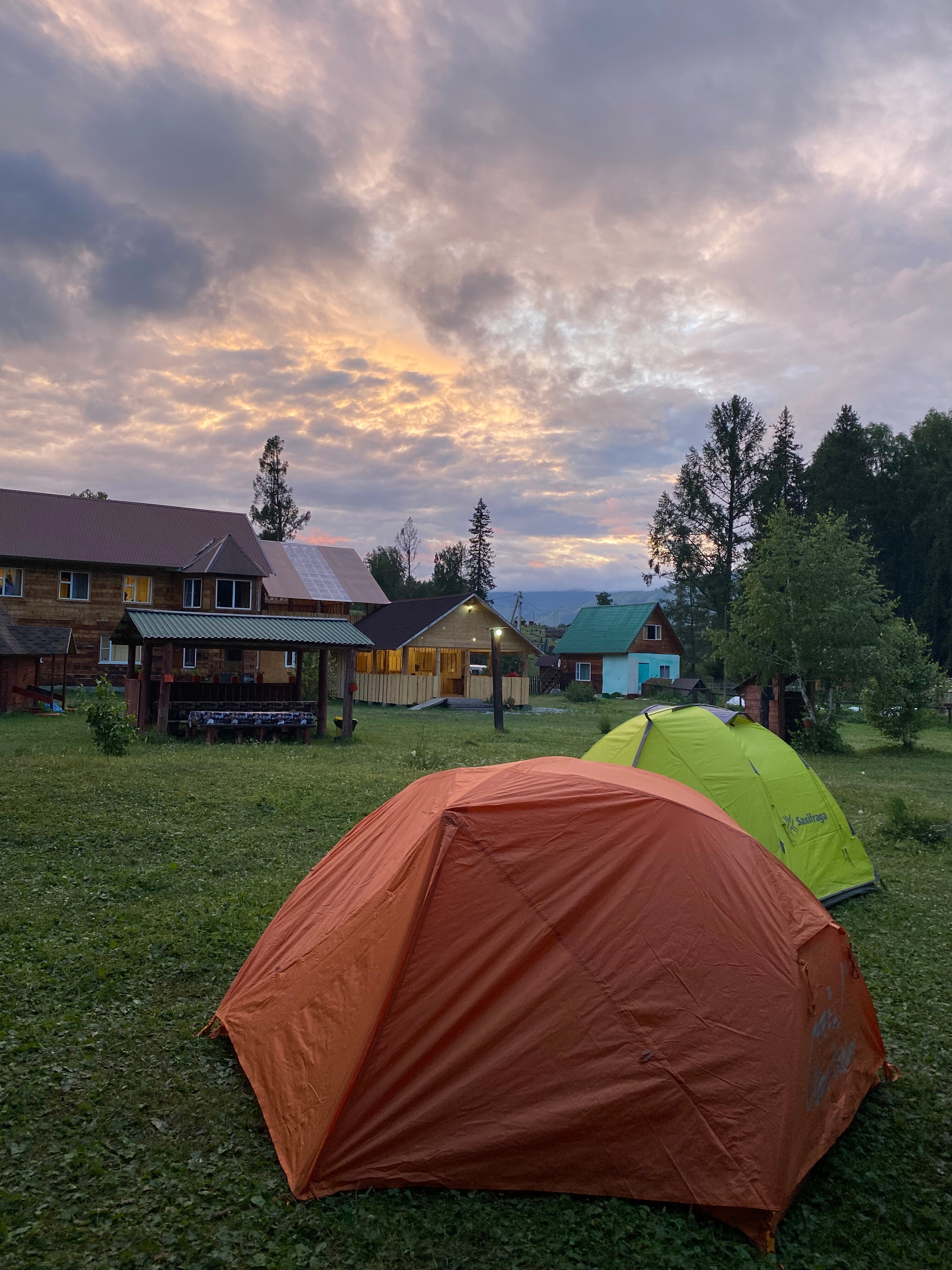 Фото Еловая опушка
