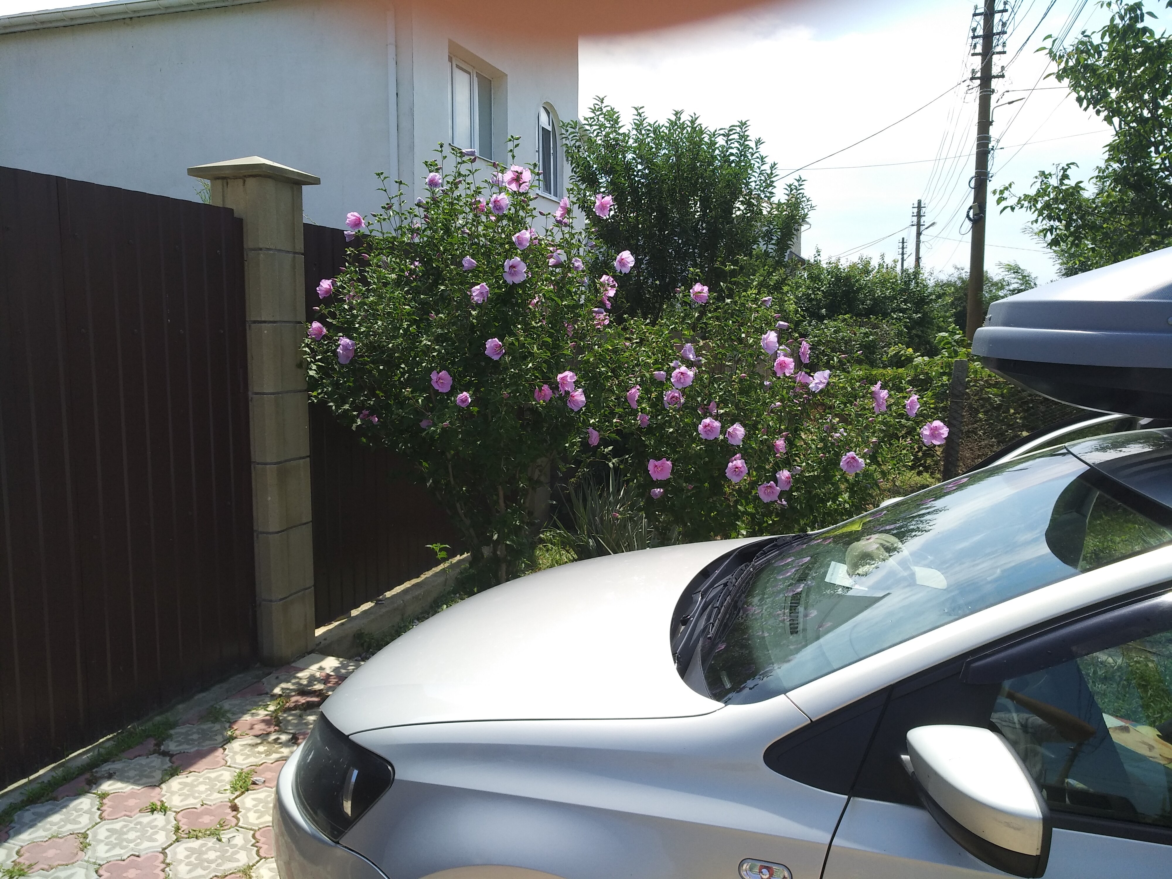 Фото Гостевой дом в Приморском