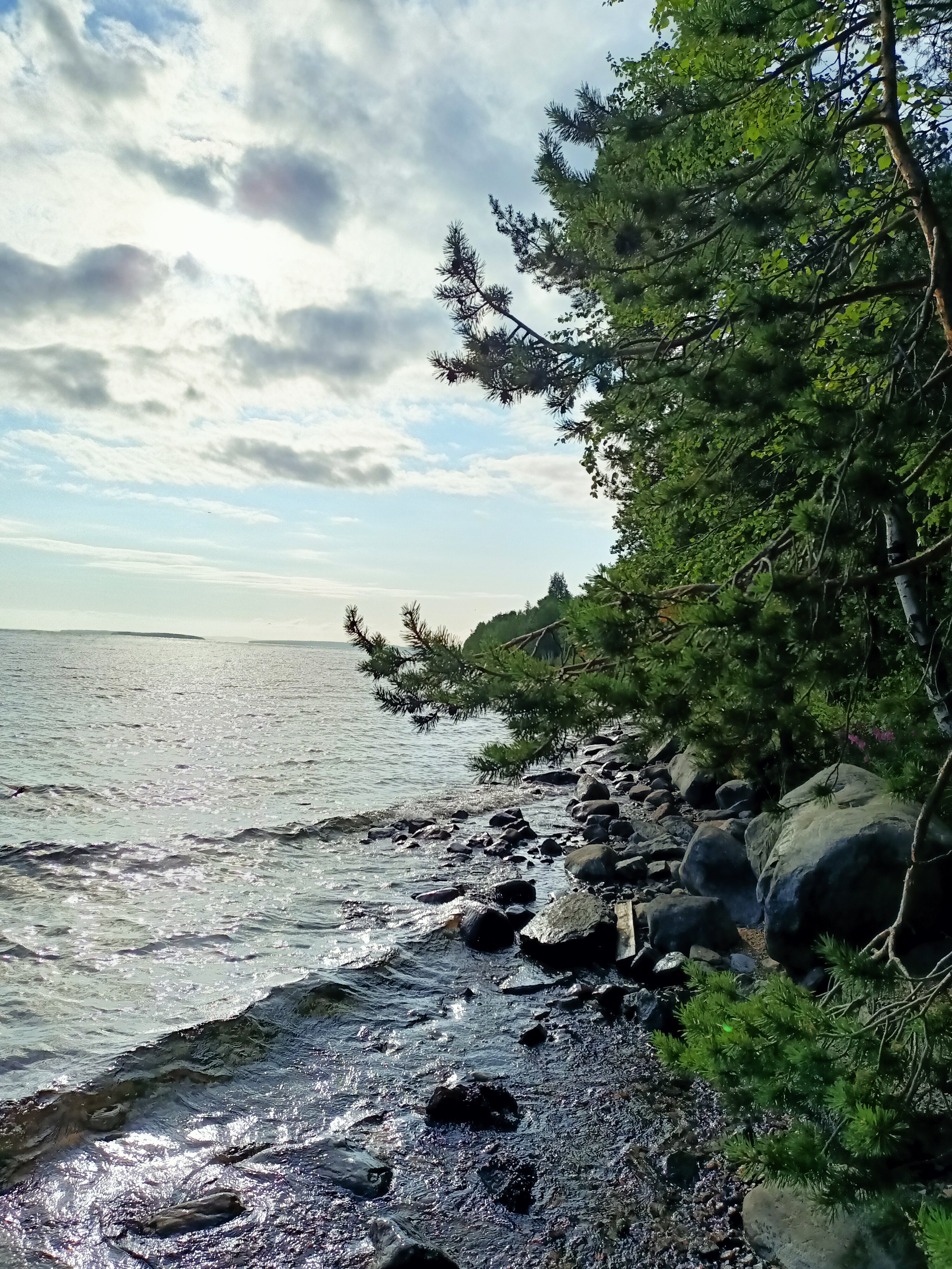 Фото Лесная