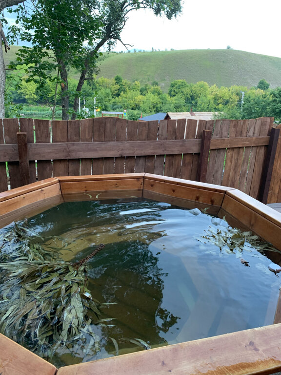 Фото Тихие Дивы