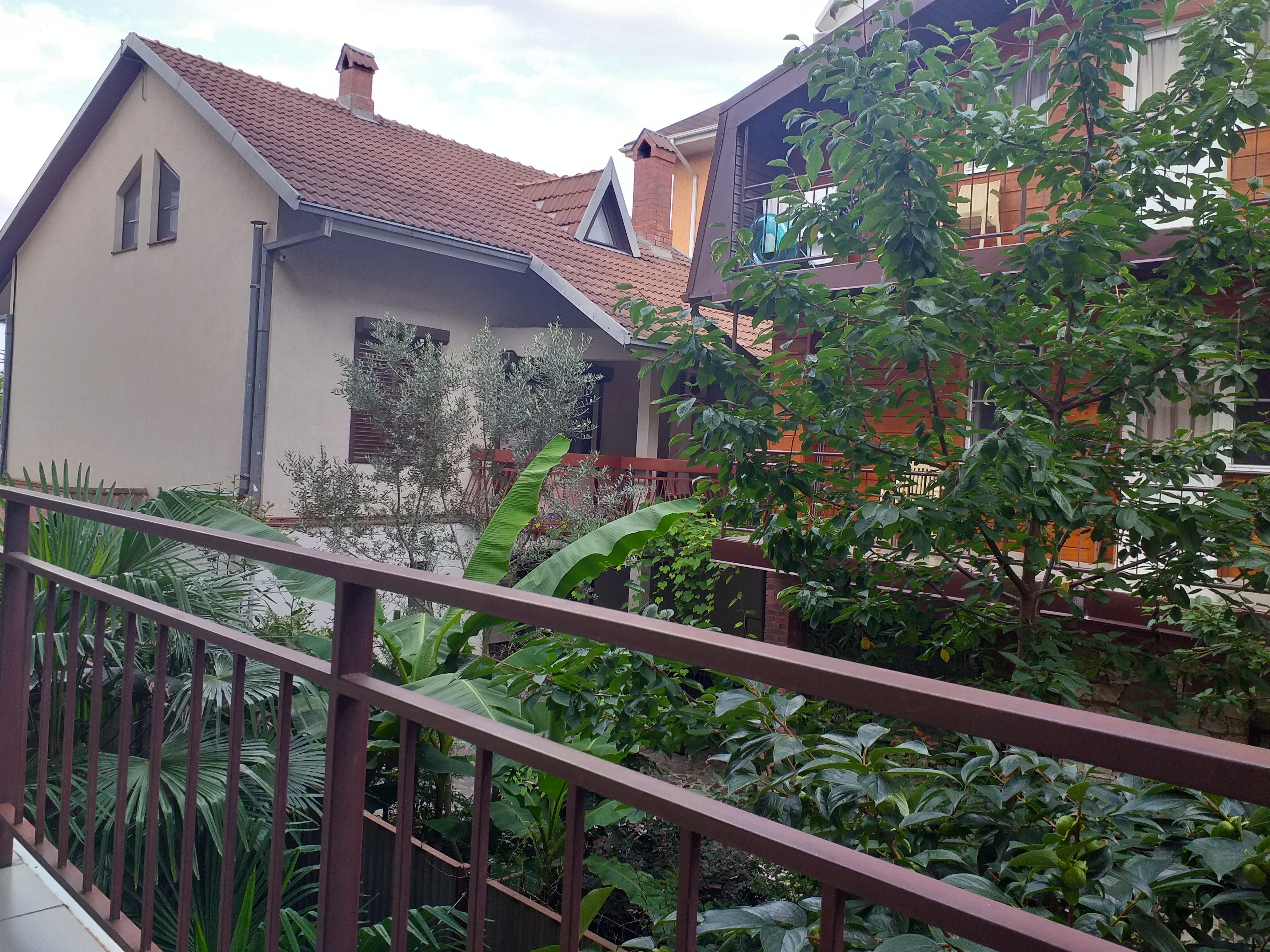 Фото Остров Сочи