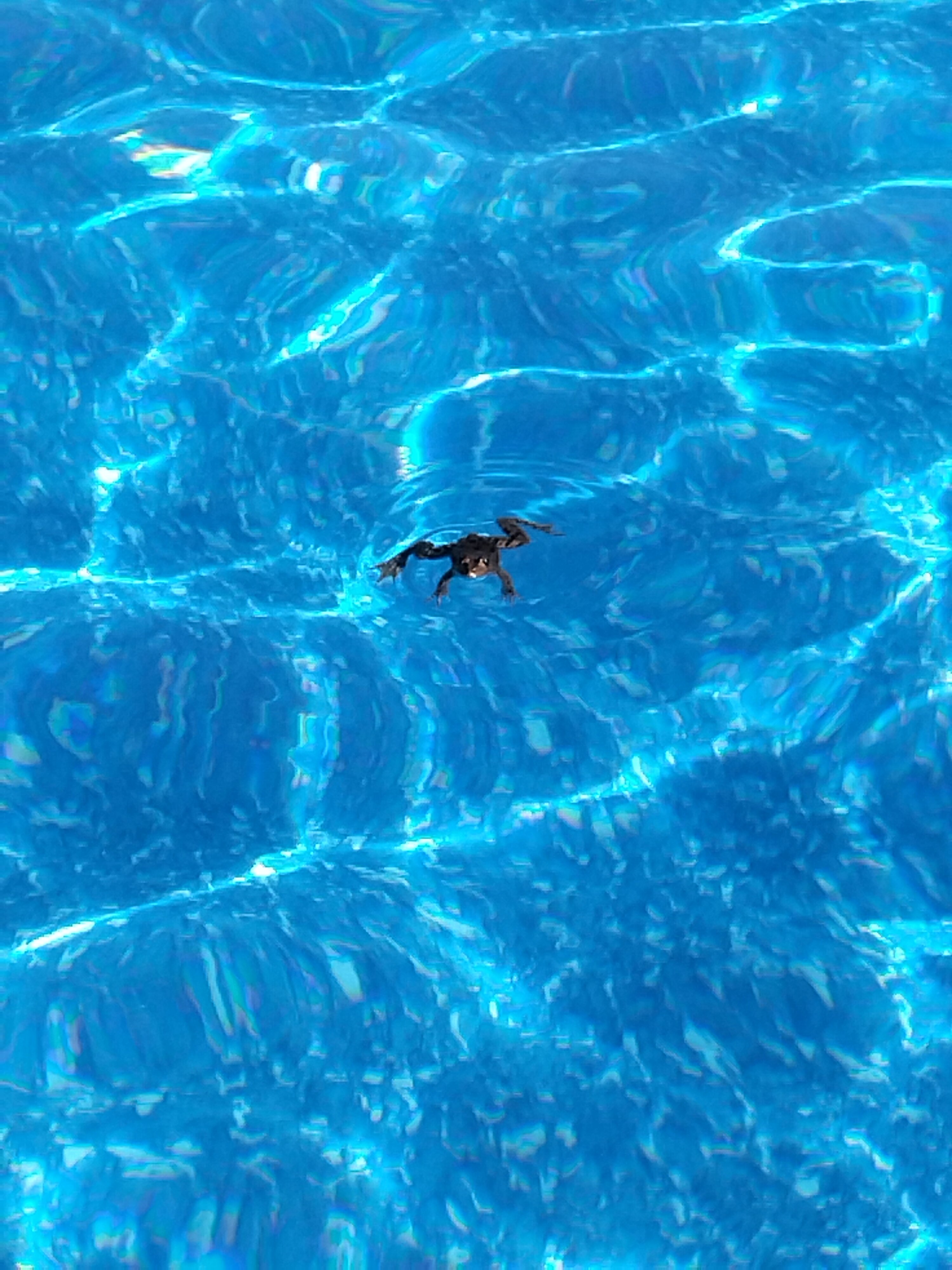 Фото Берег мечты