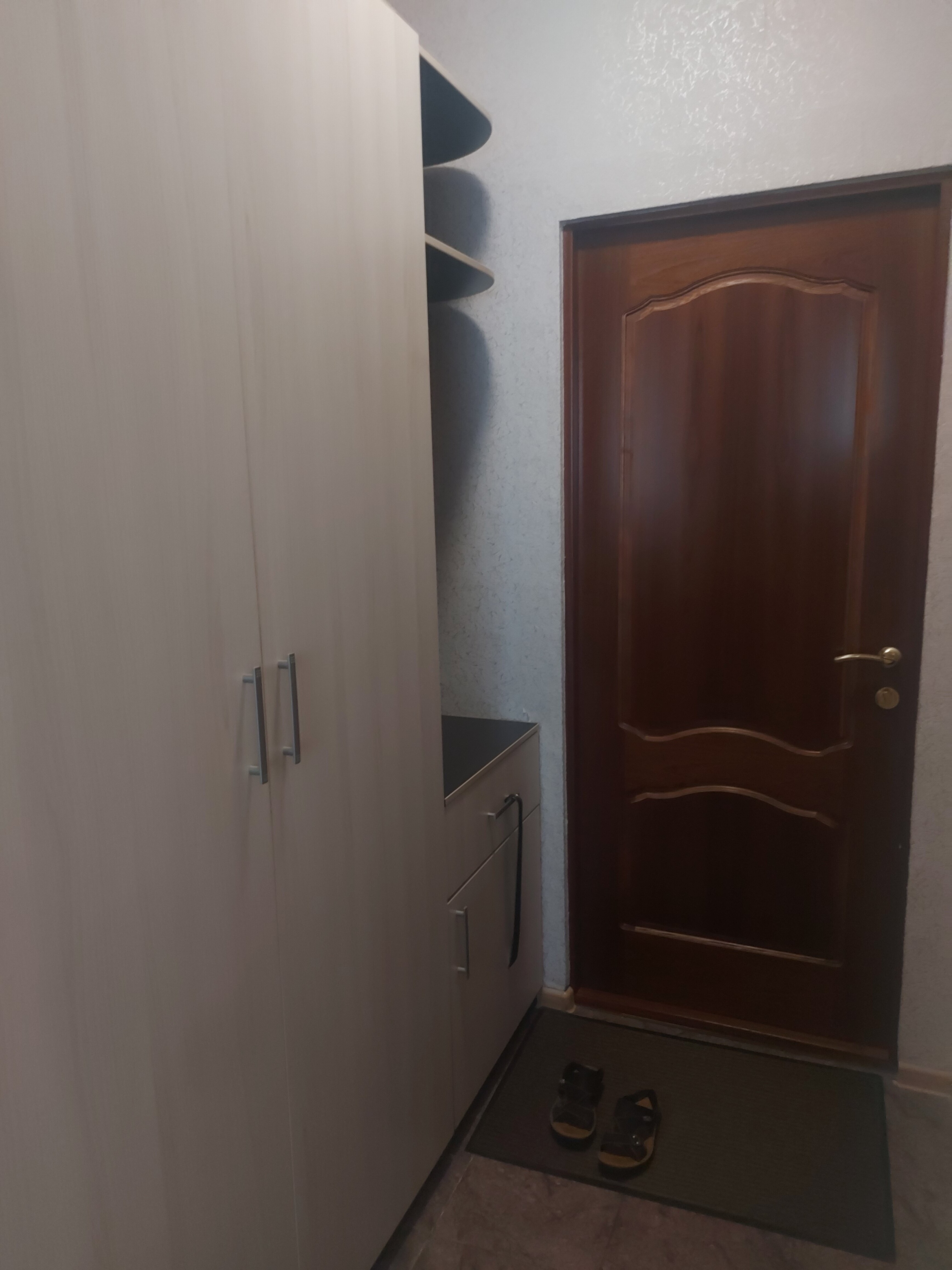 Фото Сорока