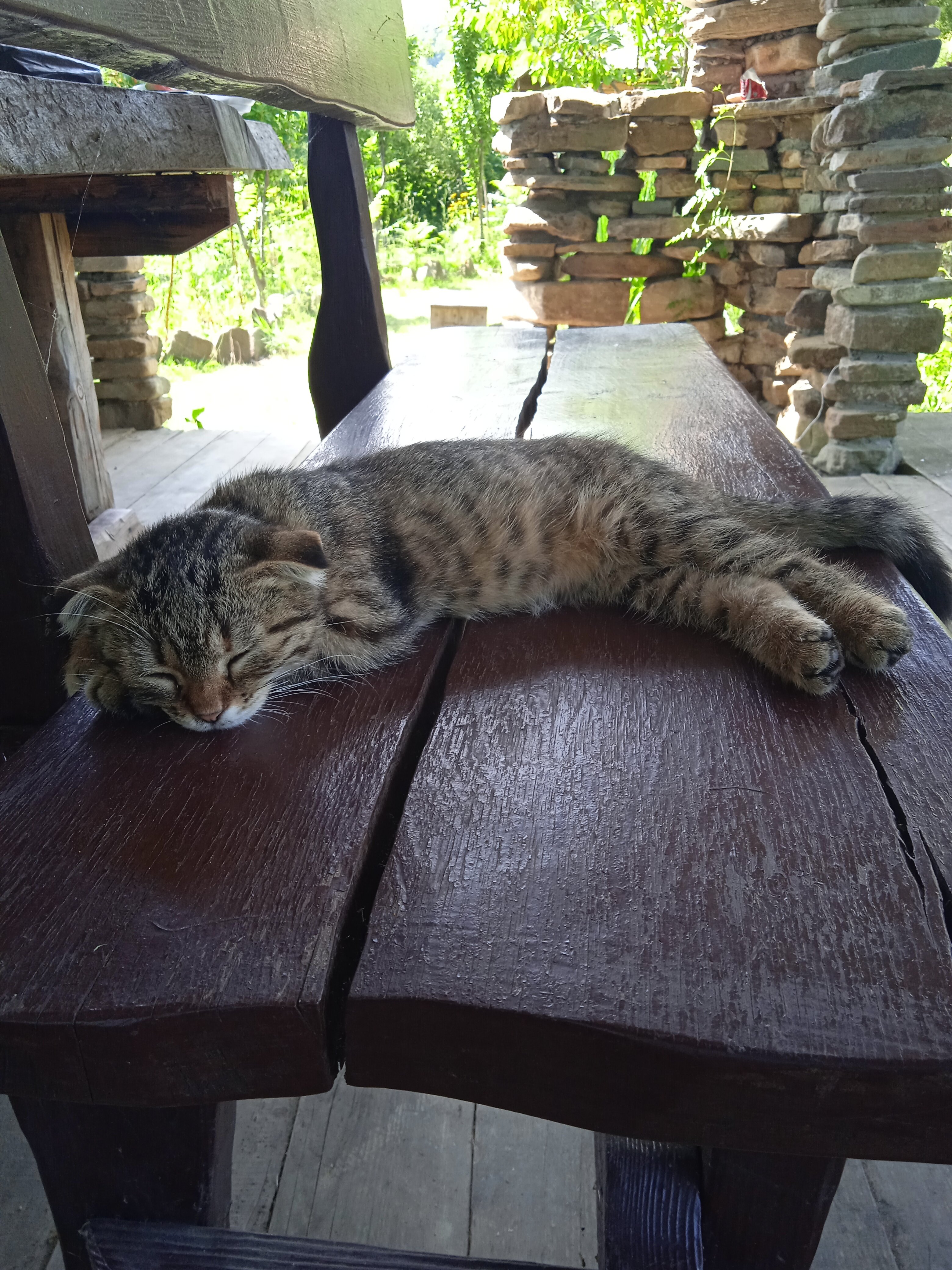 Фото Клевое место