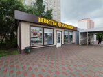 Азалия (Solnechniy Microdistrict, Biryukova Street, 26/1) ، محل زهور