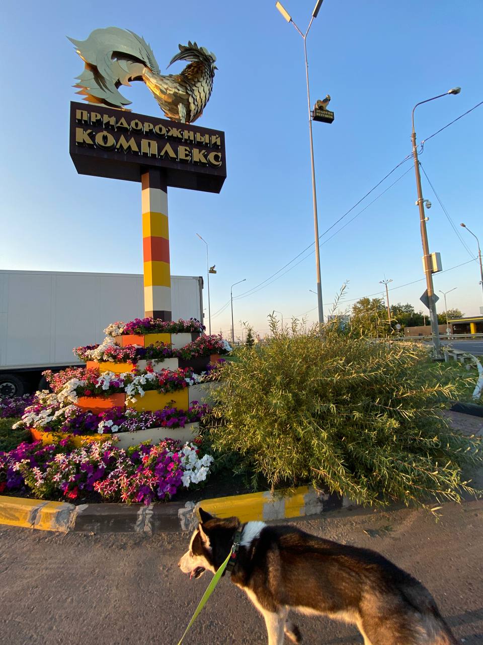 Фото Heliopark Cruise