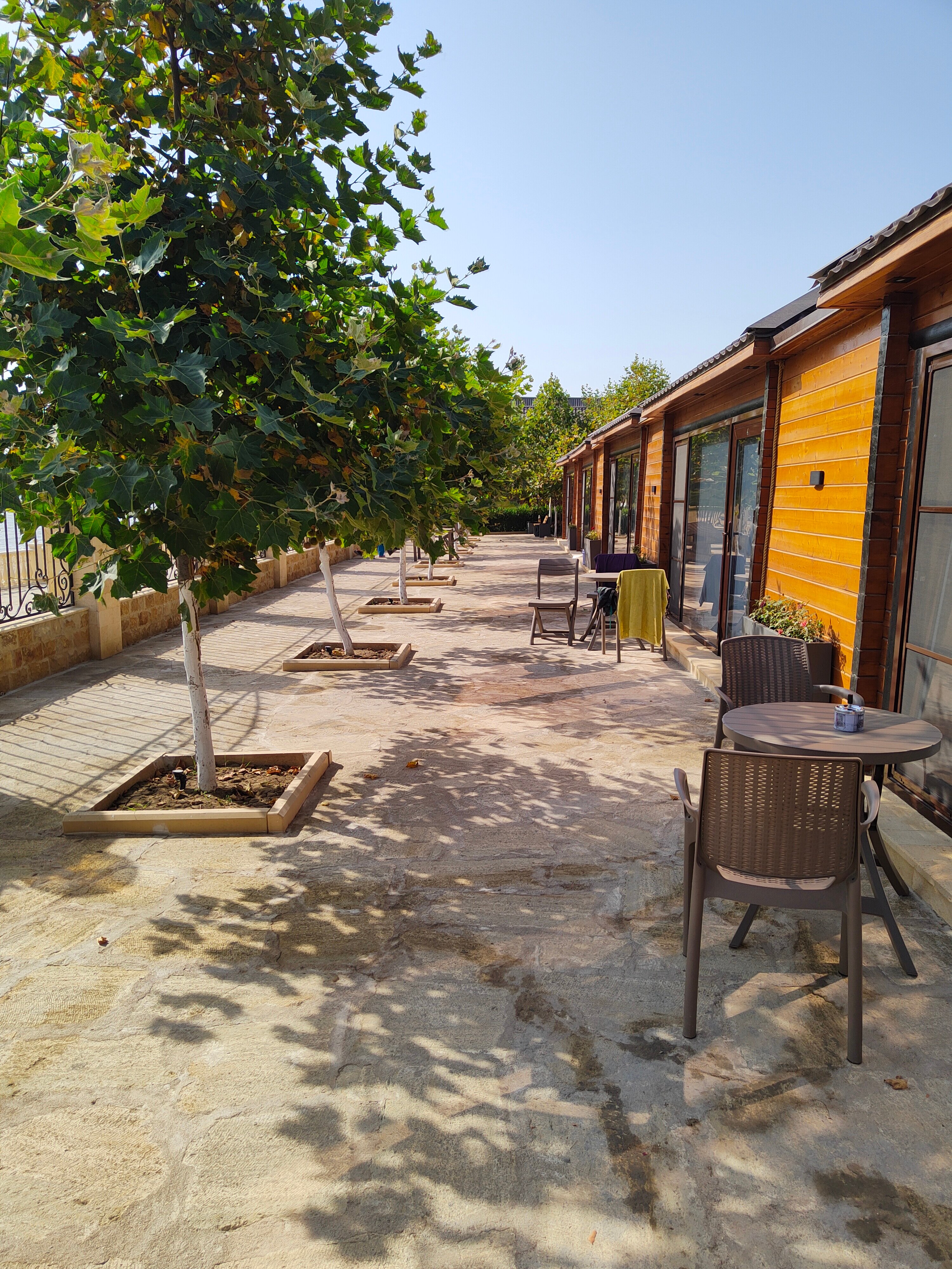 Фото Санитас