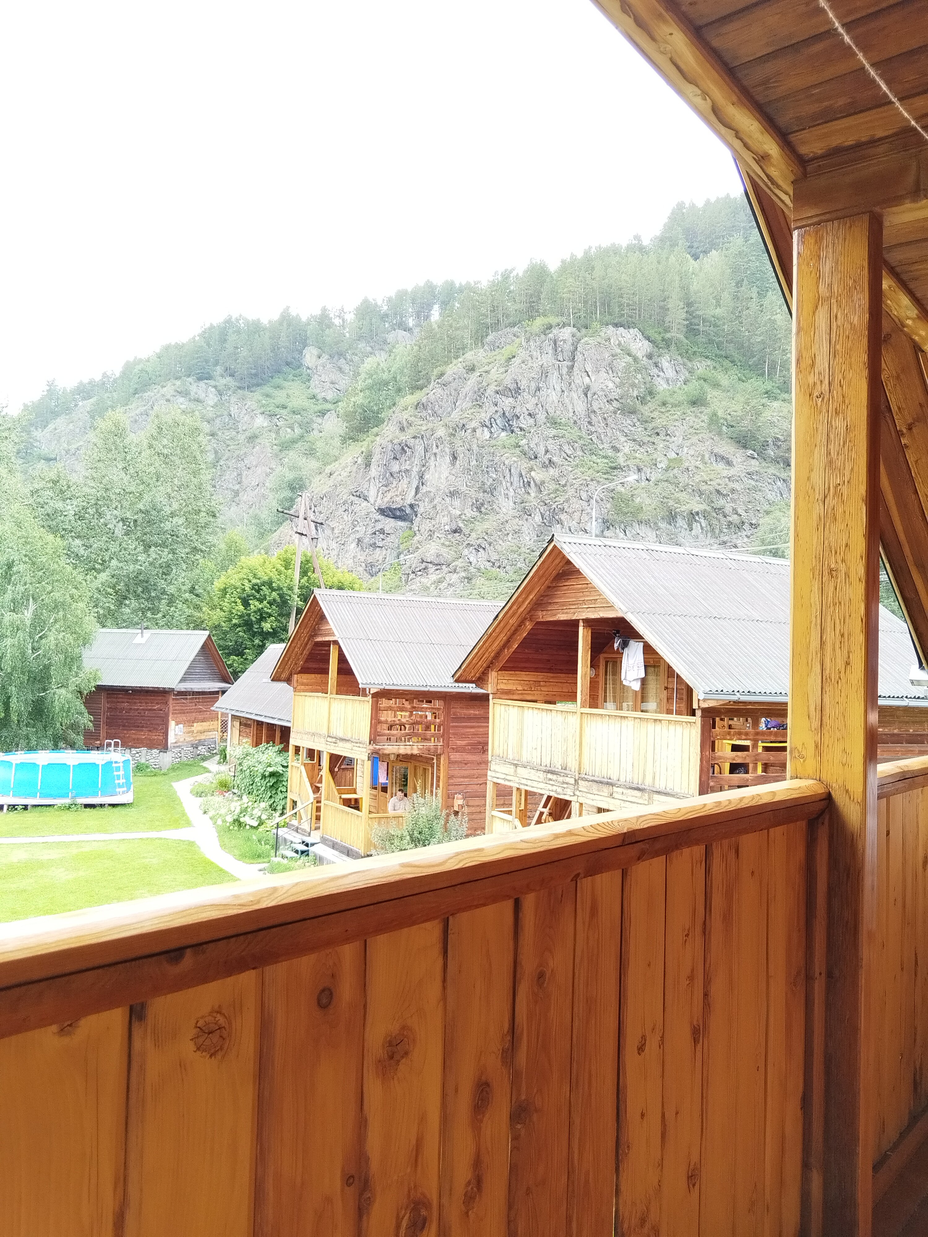 Фото Альбатрос