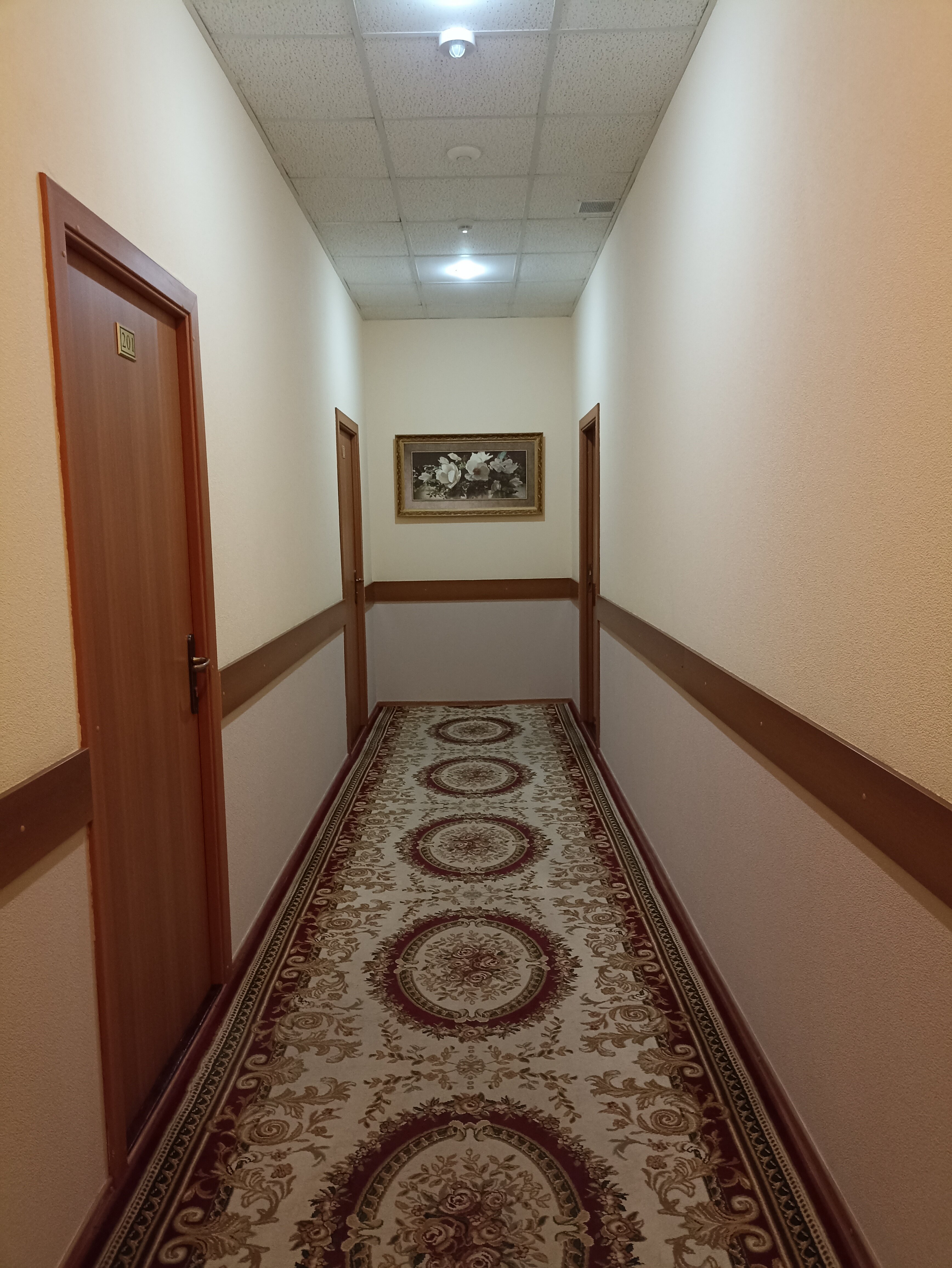 Фото Александрия