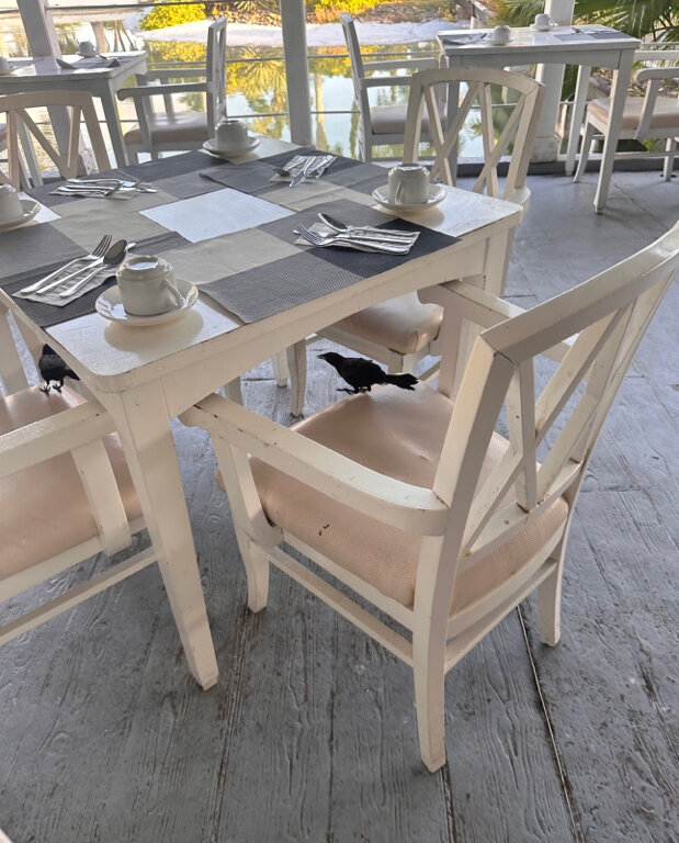 Фото Melia Peninsula Varadero