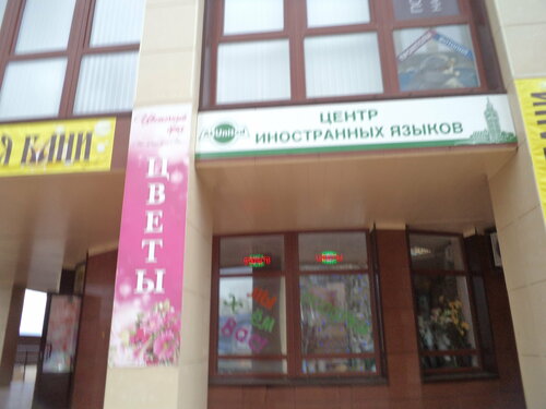 Учебный центр All United, Сергиев Посад, фото