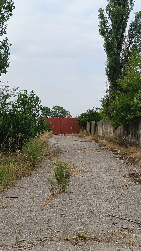 Waterfall Waterfall, Chechen Republic, photo