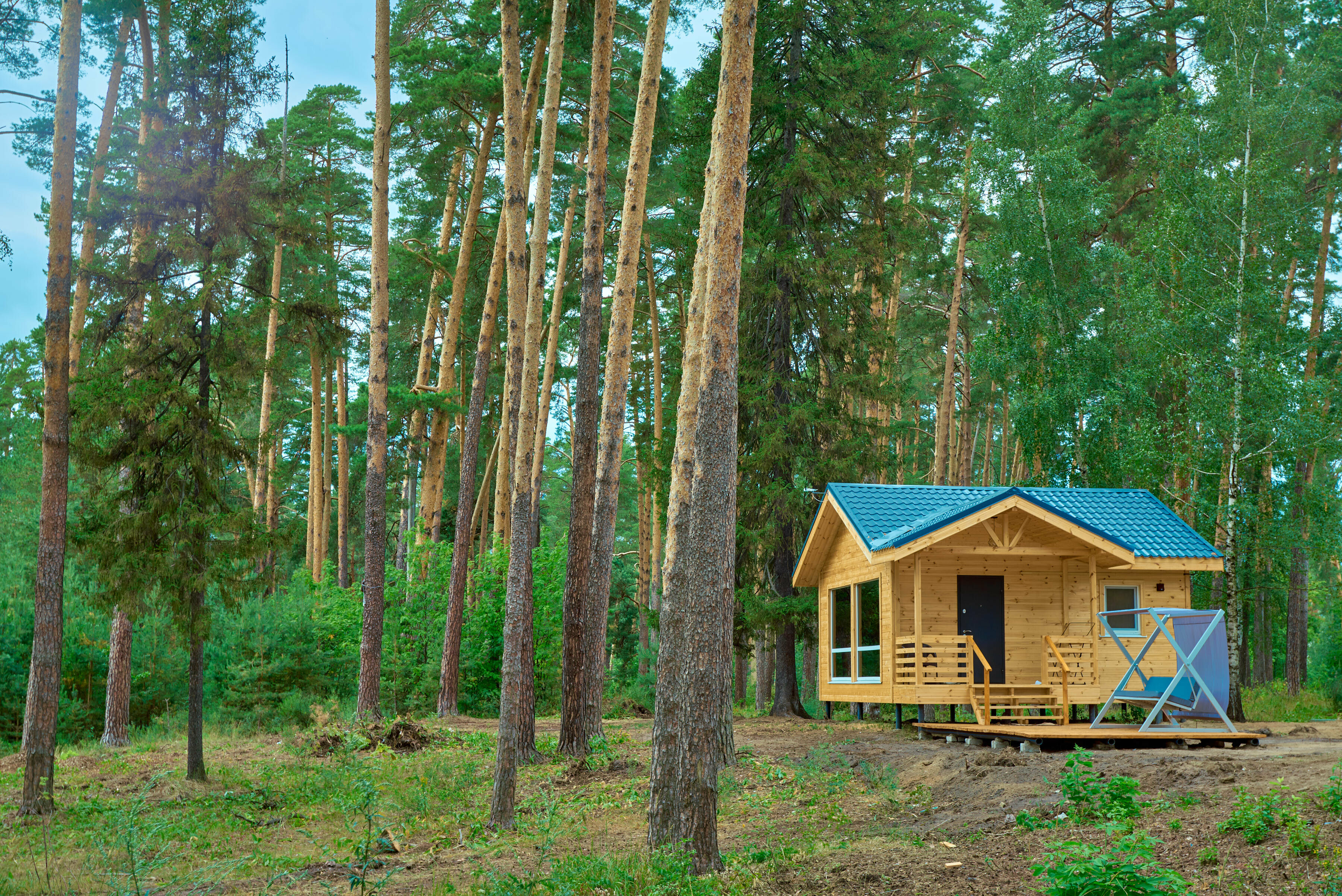 Фото Васильевский