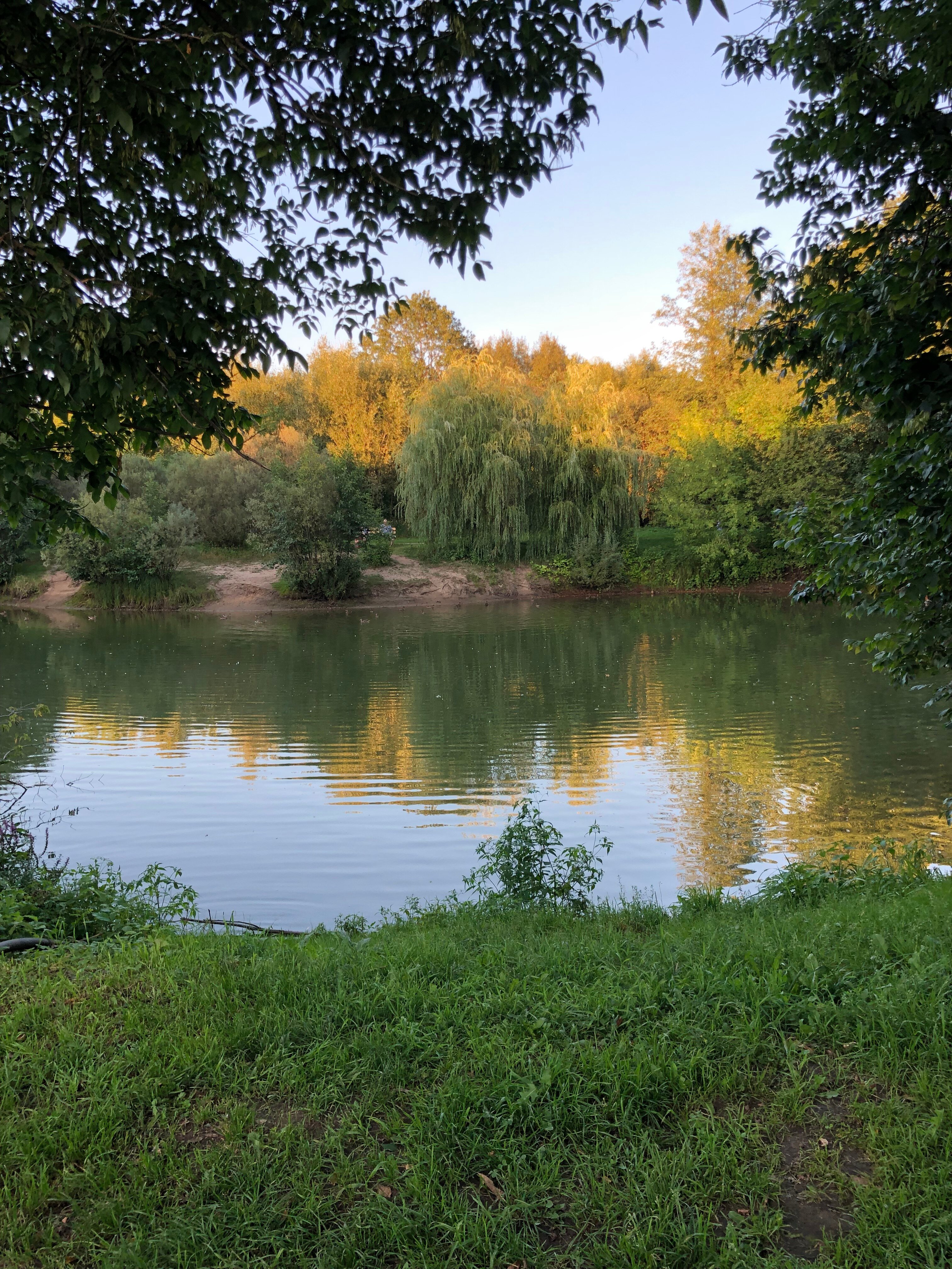 Фото Сосновый Бор