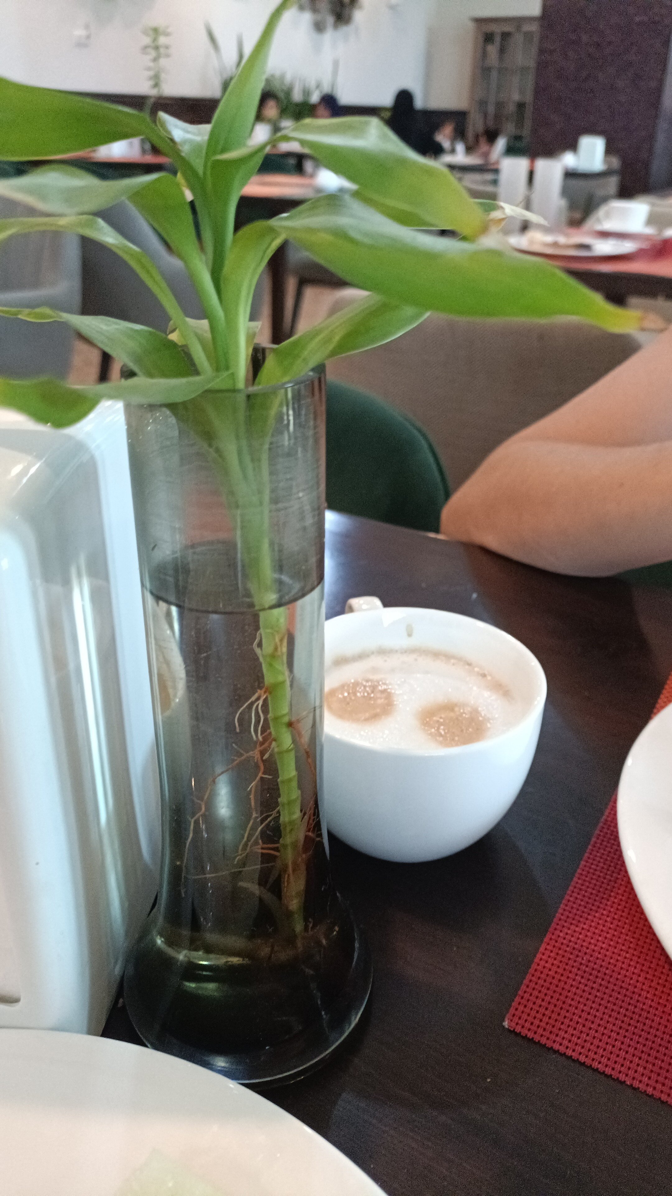 Фото Garden Hotel&Spa