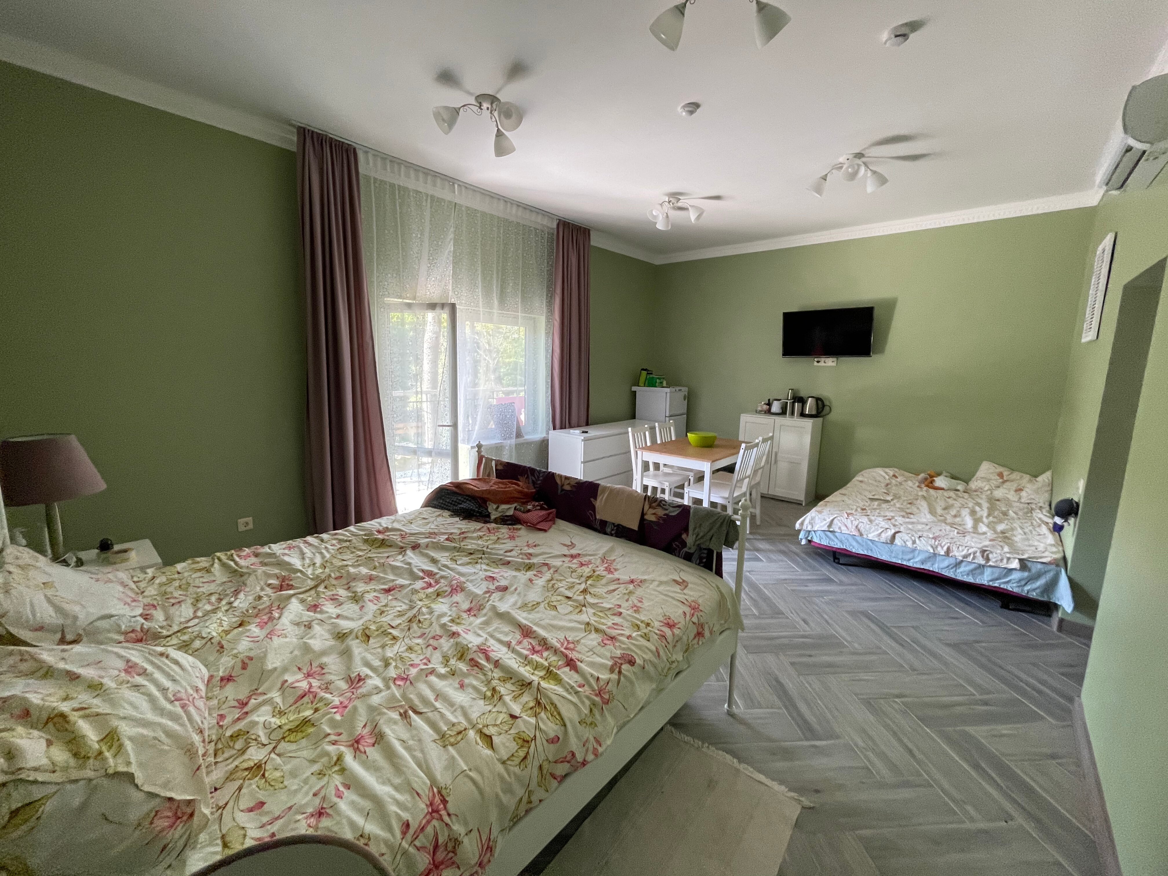 Фото Примула