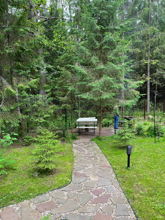 Фото Коттеджи в сосновом бору