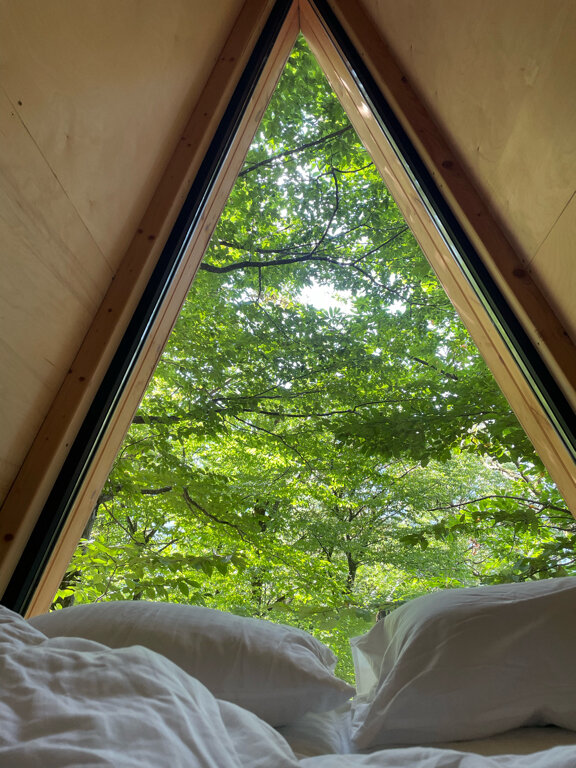 Фото Дзен Поляна