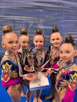 Rhythmic Stars (Avtozavodskiy City District, Severniy Microdistrict, Burdenko Street, 35) ، نادي رياضي، مجموعة