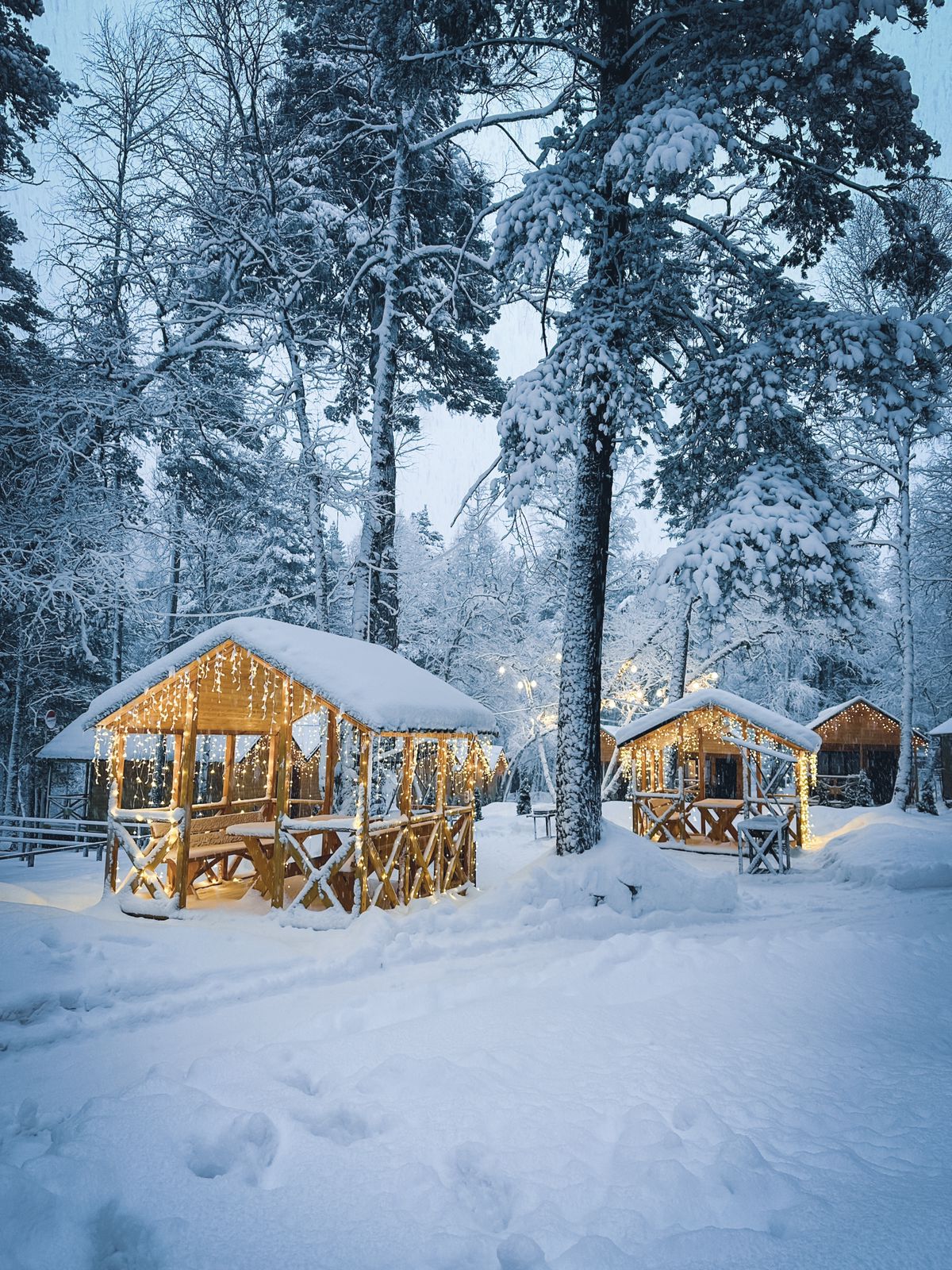 Фото Шале Хвоя