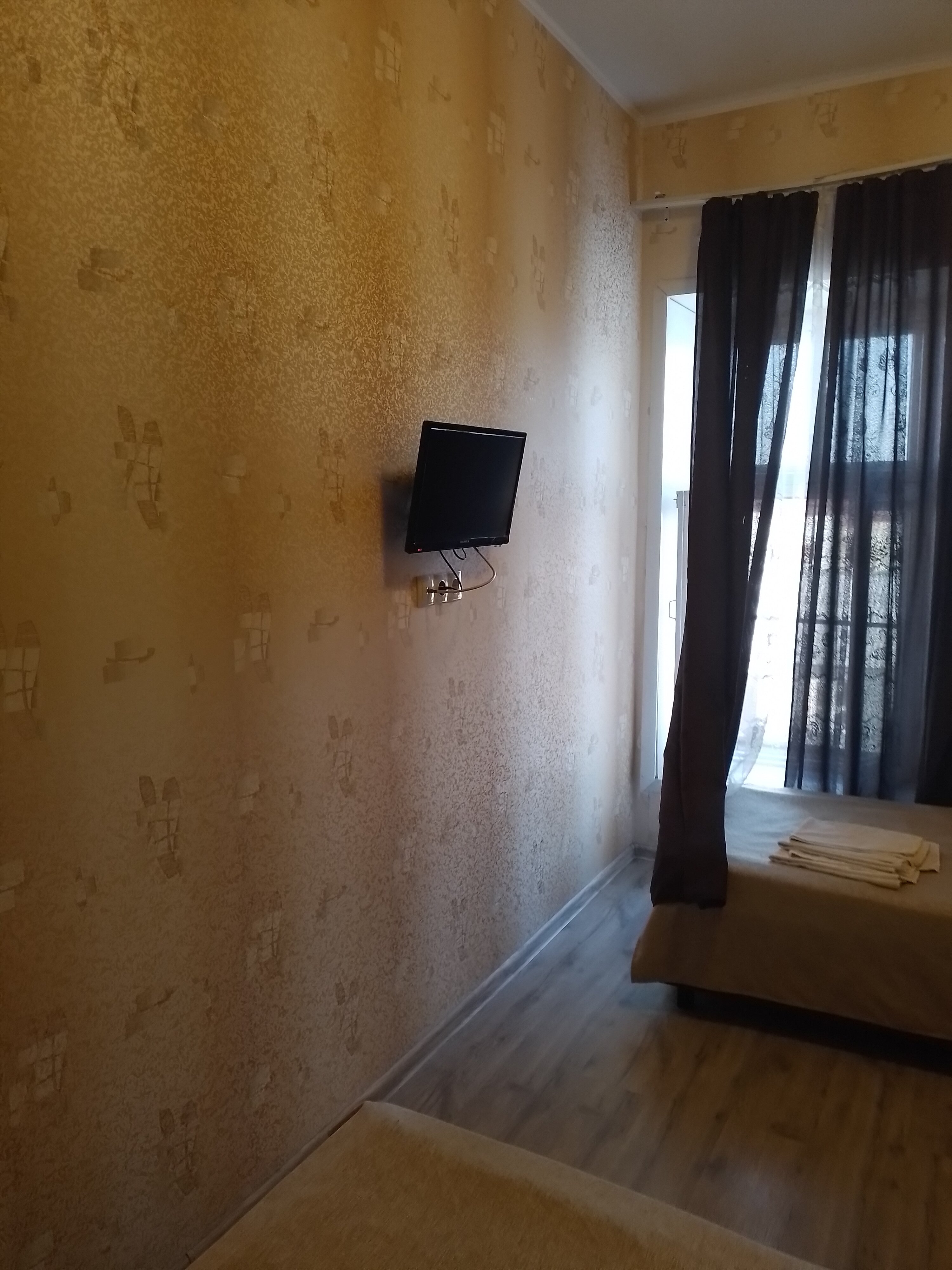 Фото Базилик