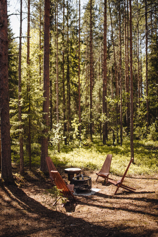 Фото Loft Home Карелия