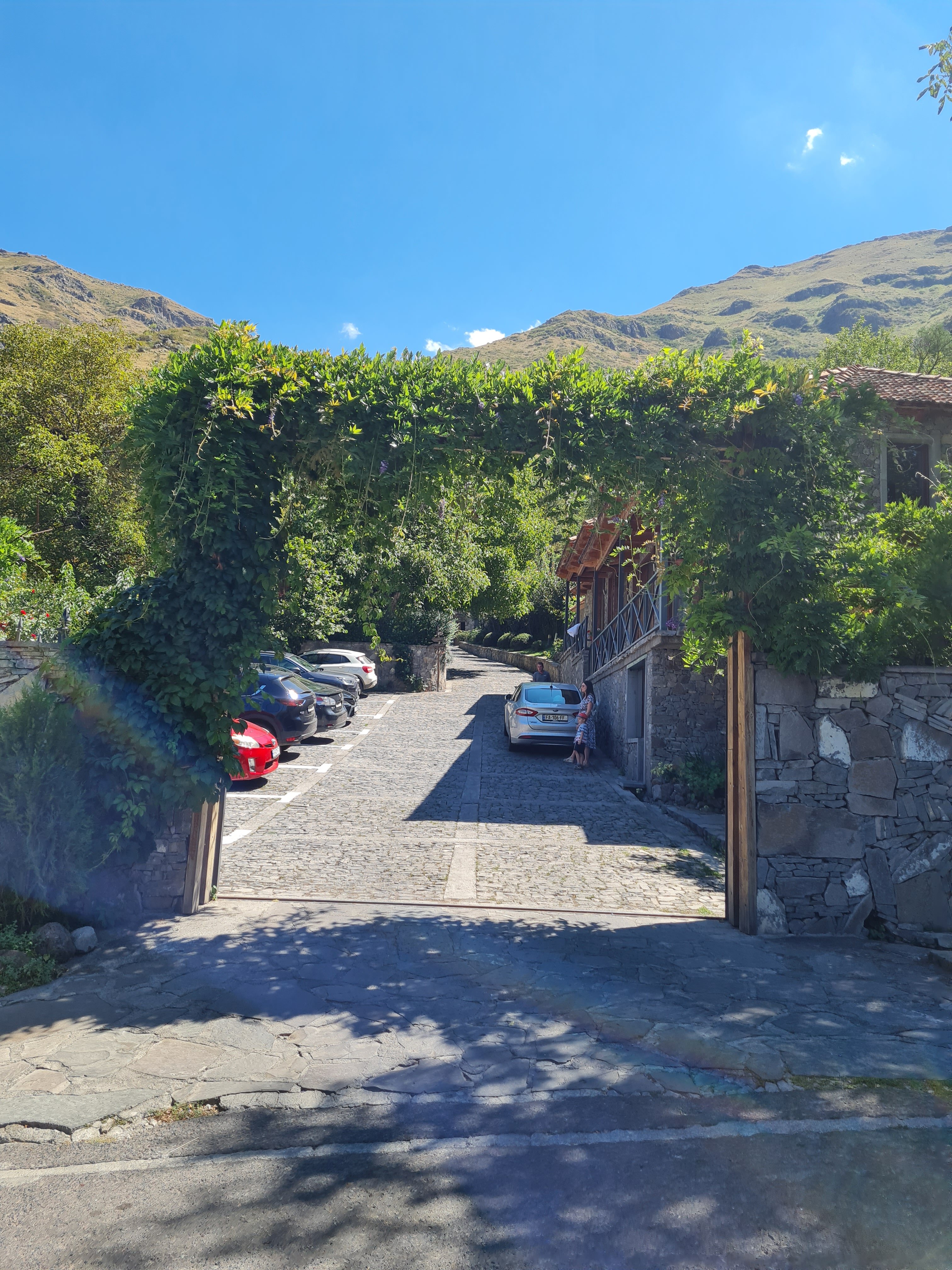 Фото Vardzia Resort