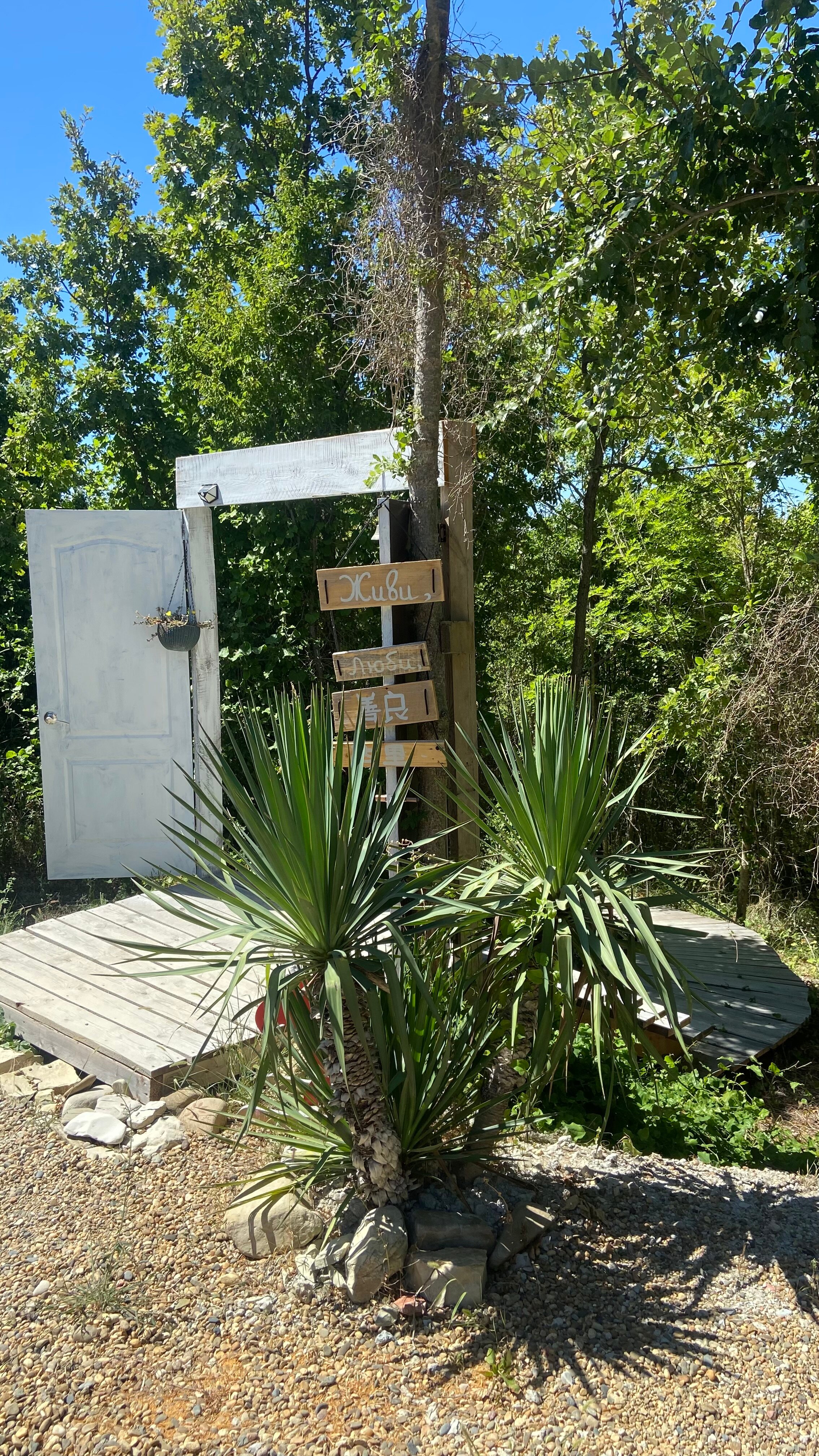 Фото Горный Енот