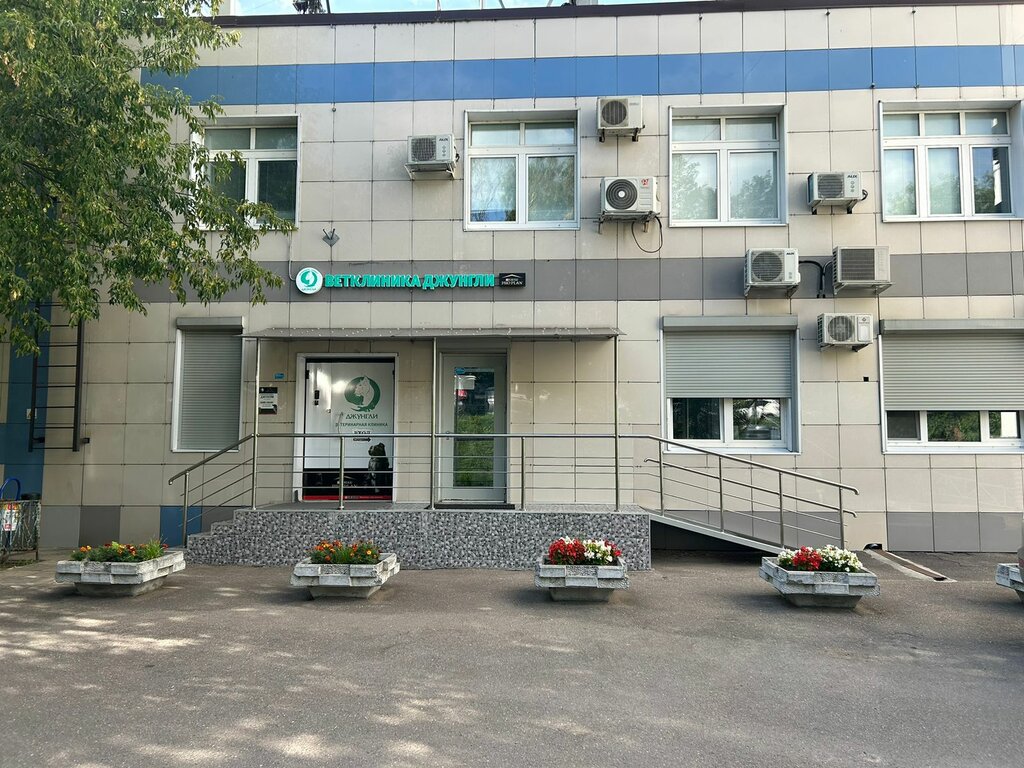 Veterinary clinic Dzhungli, Moscow, photo