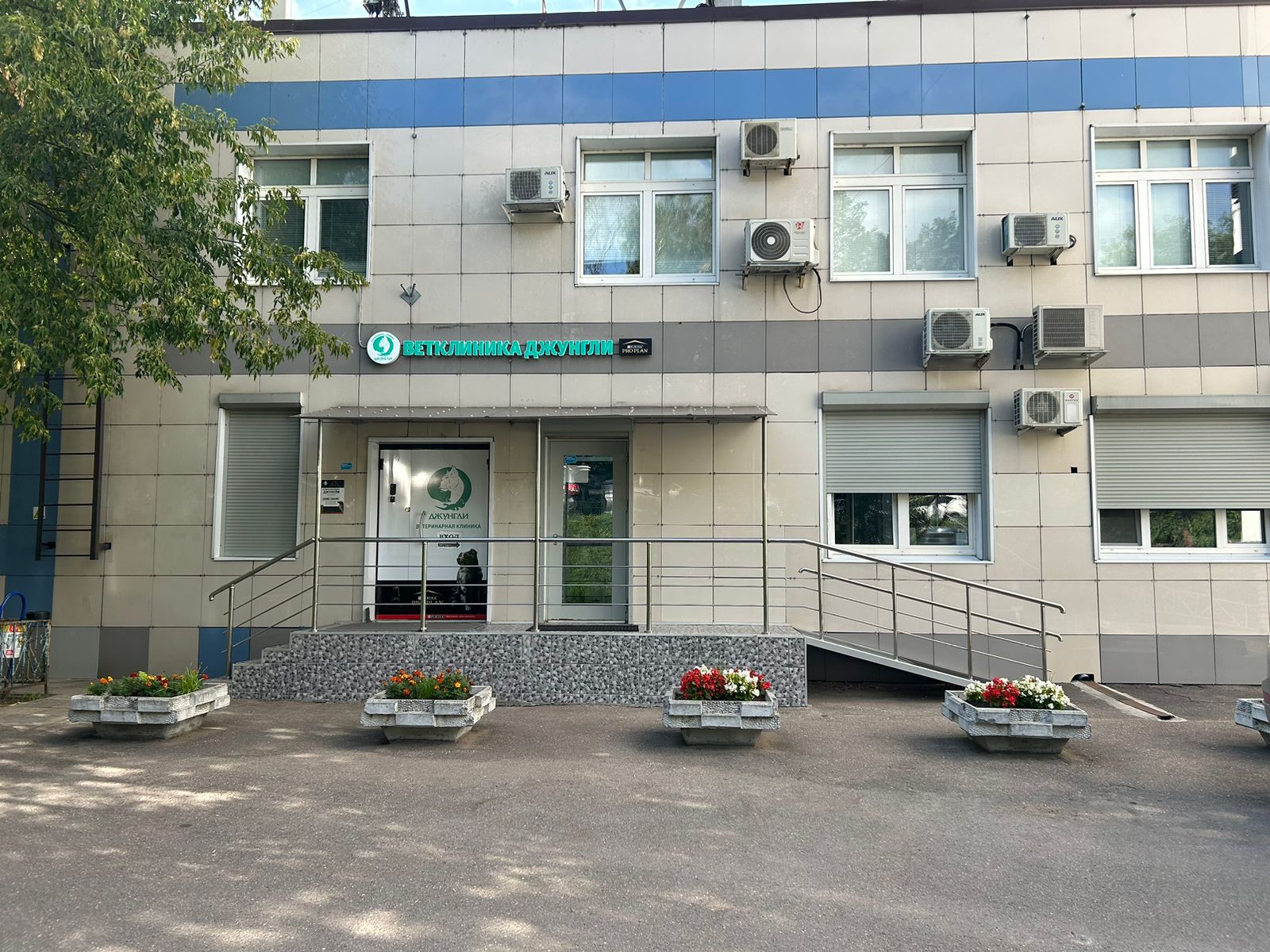 Джунгли - фото 21