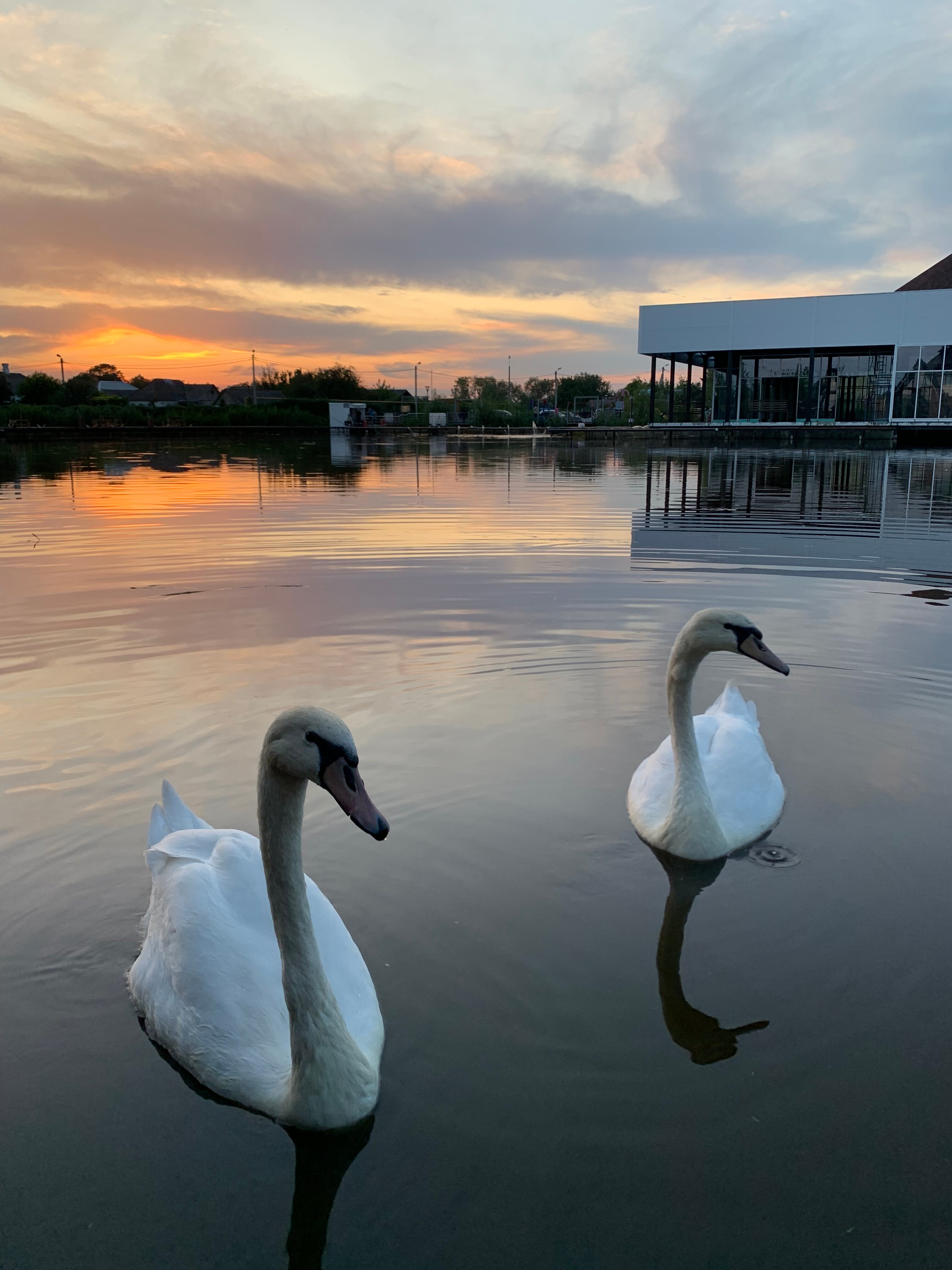 Фото Family Park
