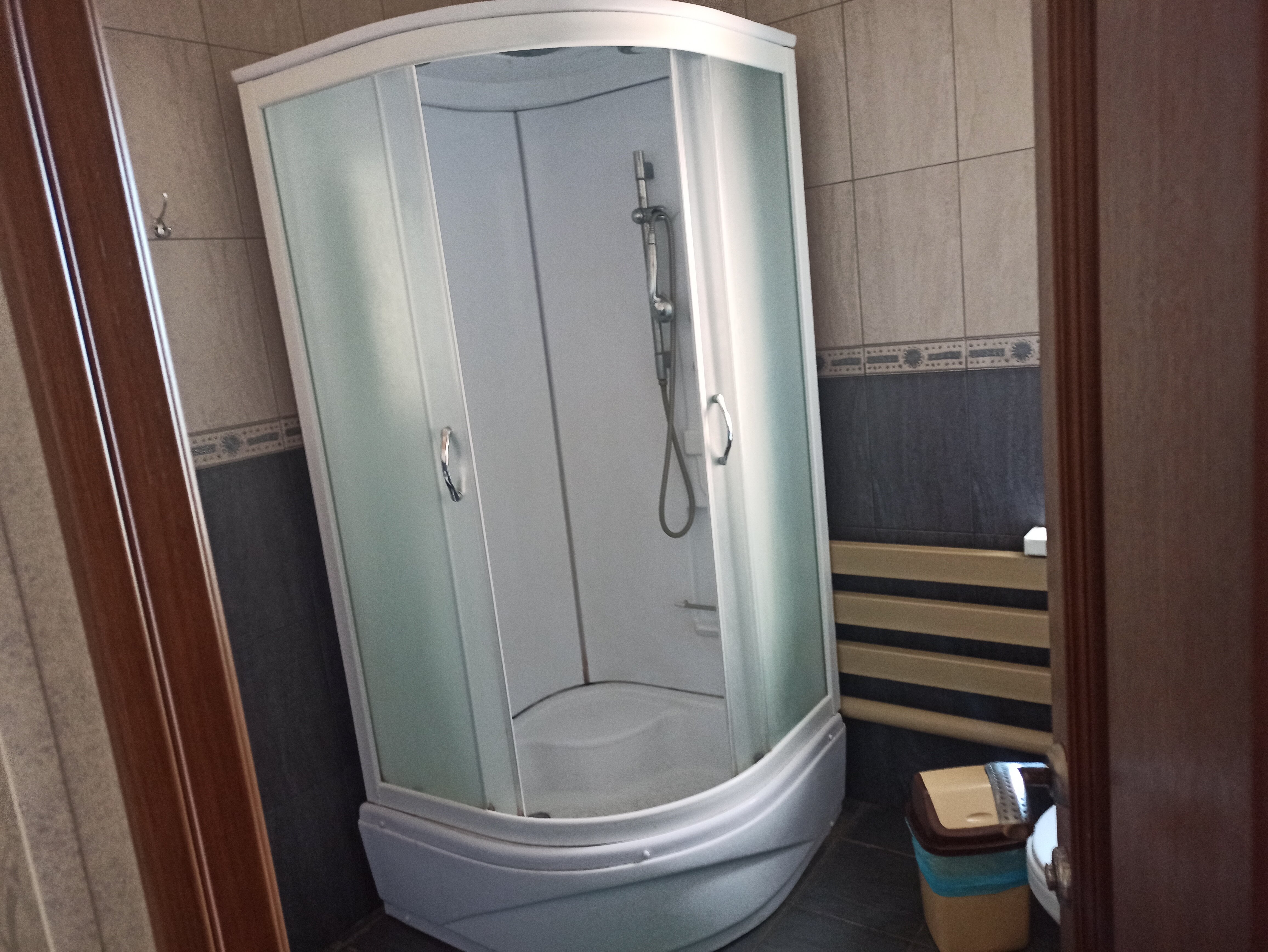 Фото Спутник