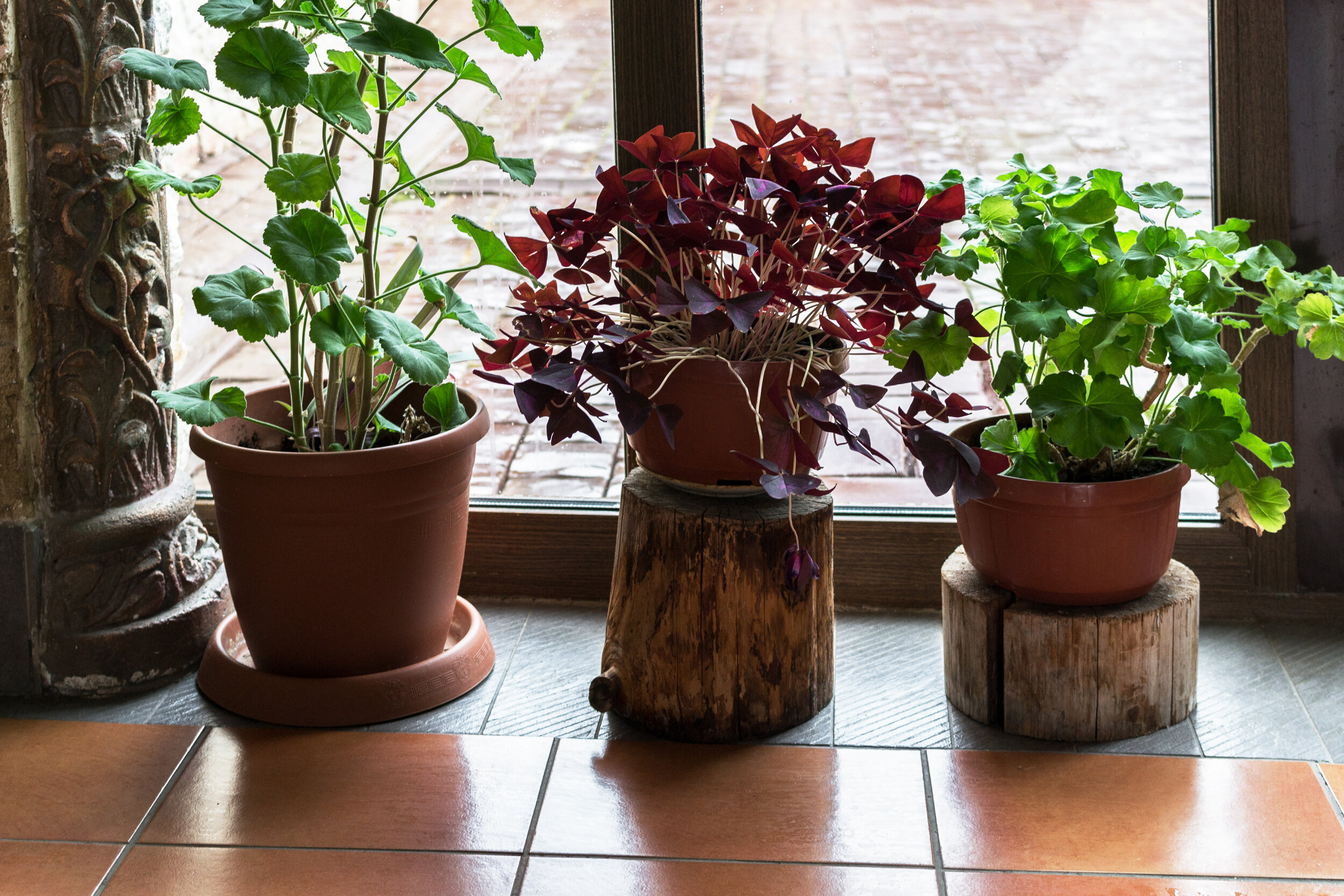 Фото Гостиница Изборск