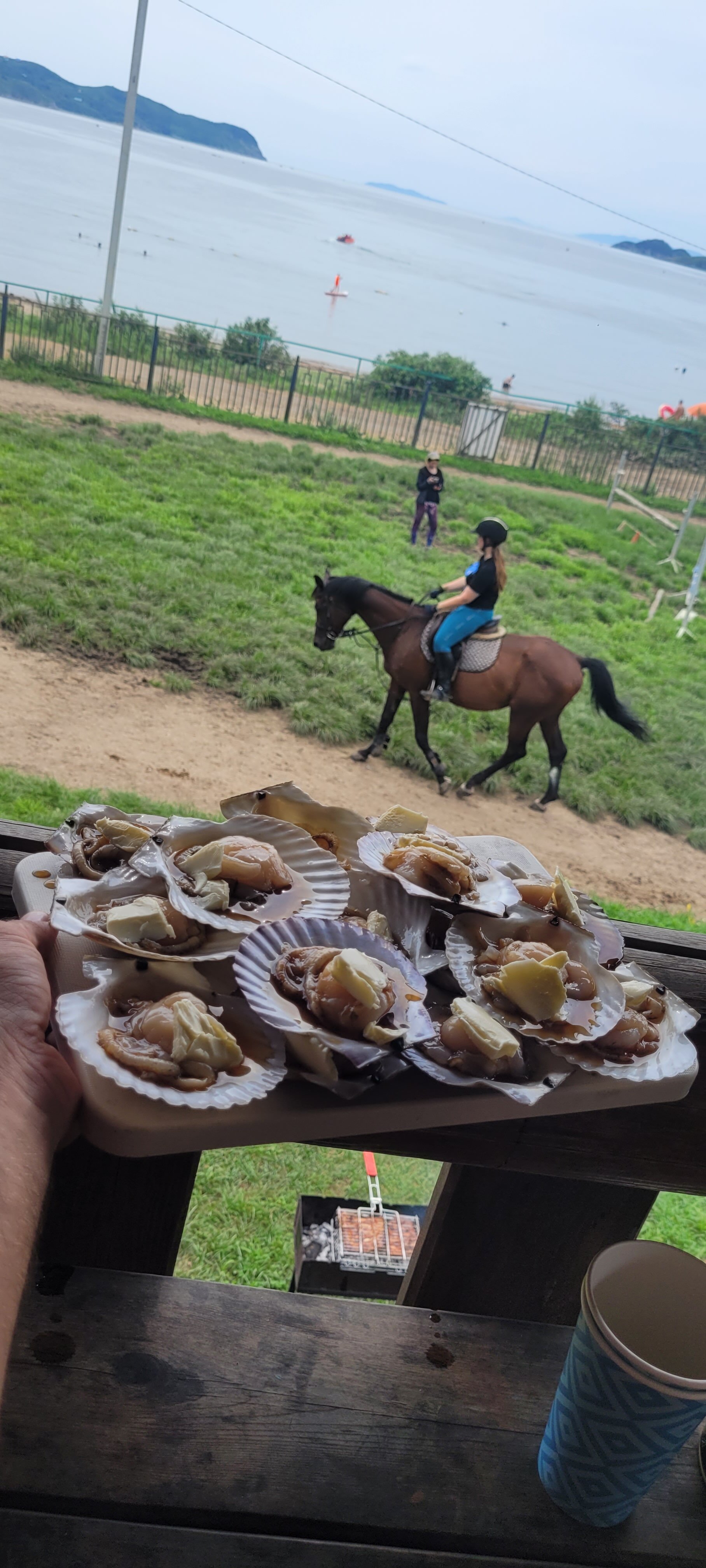 Фото Береговая