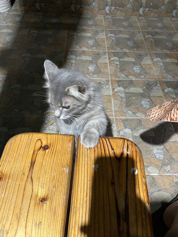 Фото Уютный Дворик