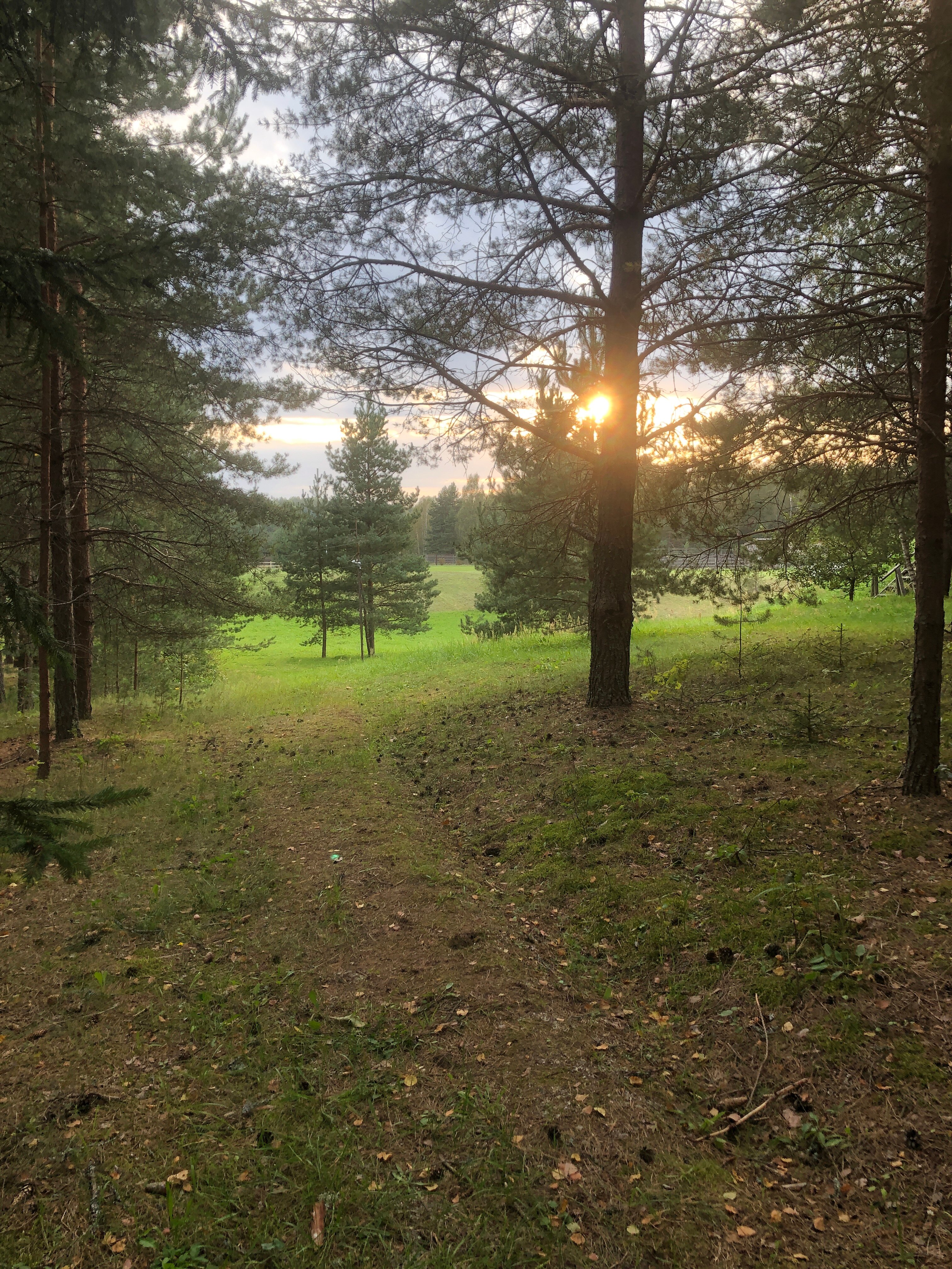 Фото Конный Двор