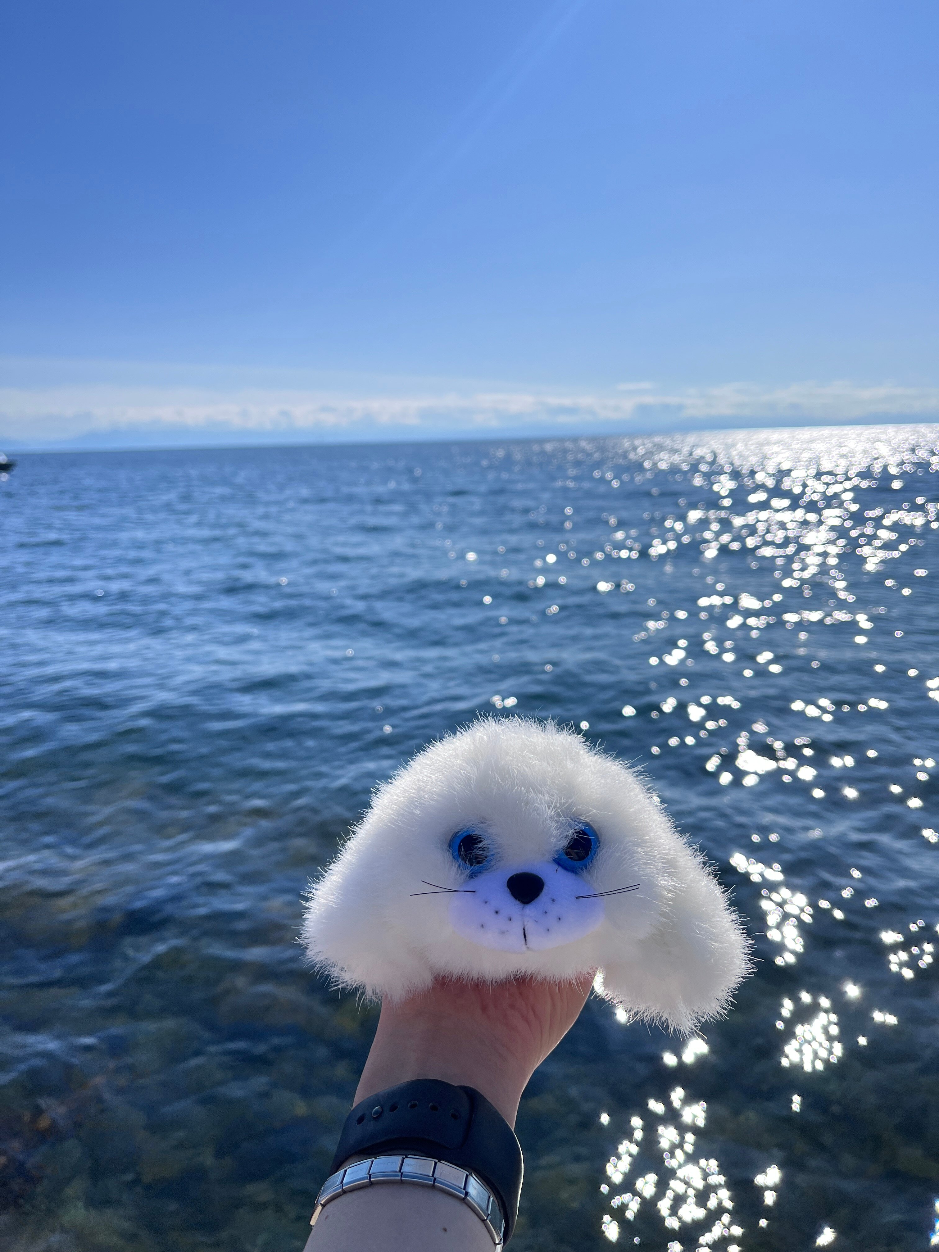 Фото Байкальские матрёшки