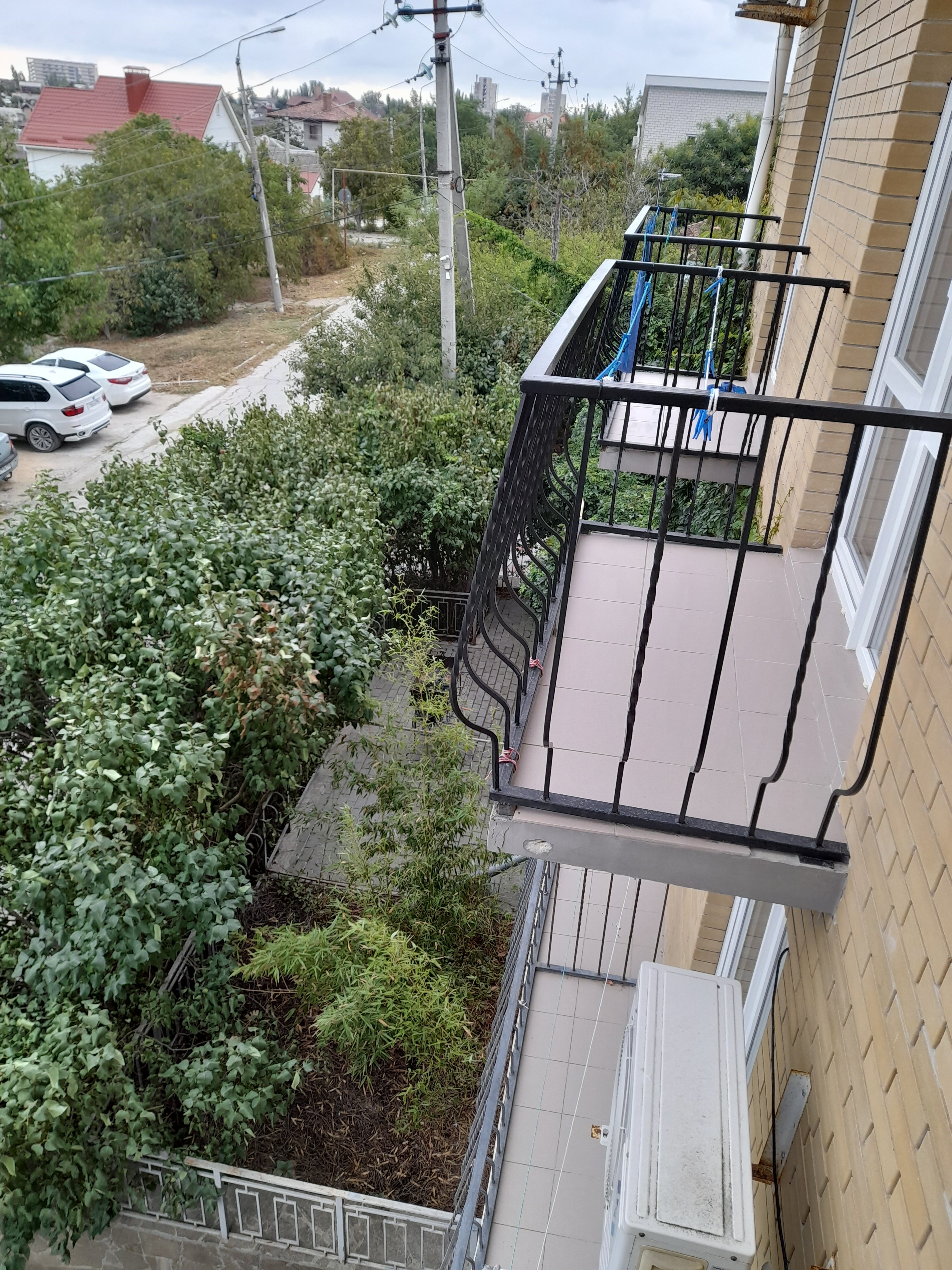 Фото Горлица