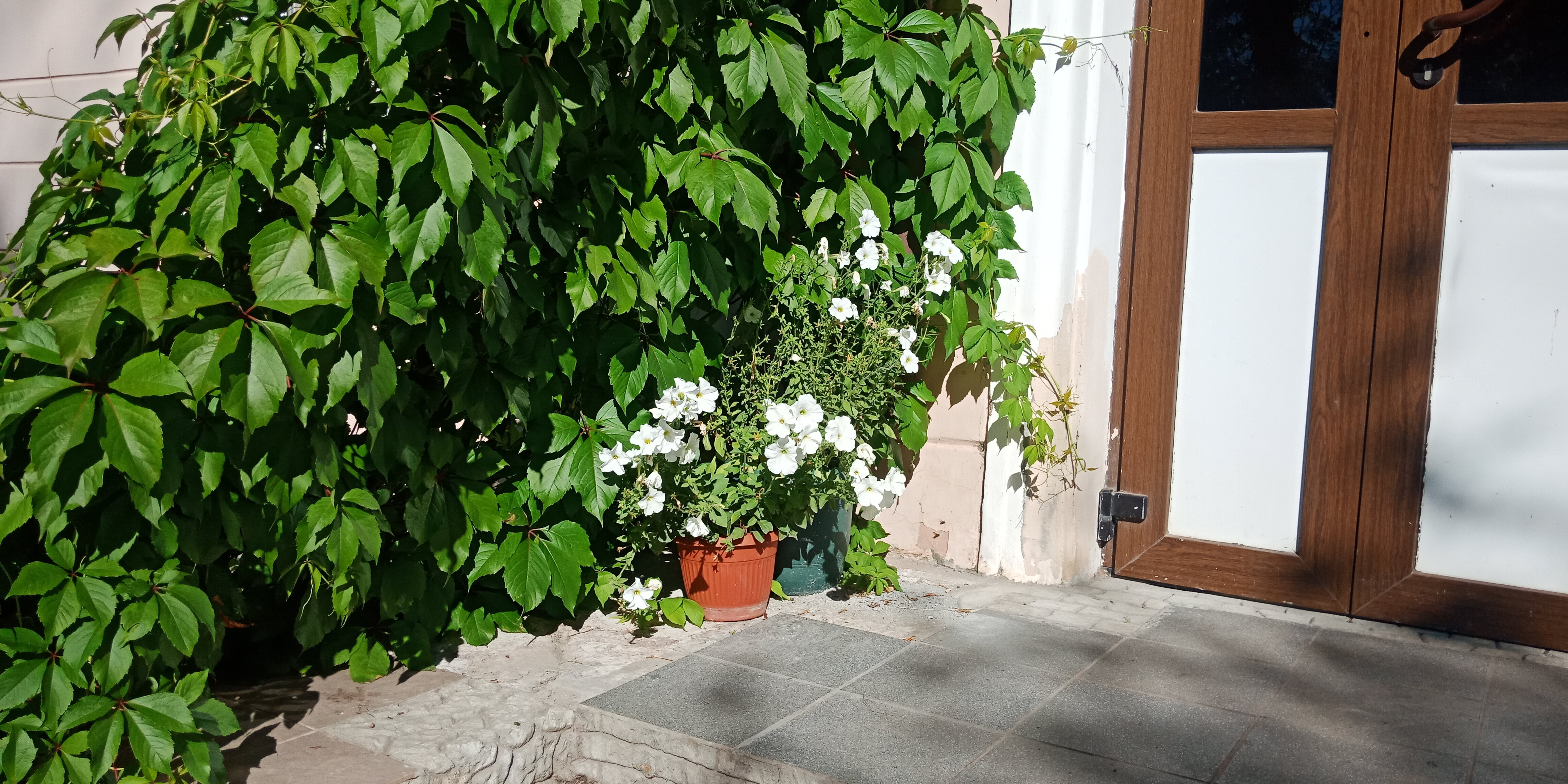 Фото Воложба