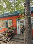 Фруктовый сад (1-y mikrorayon, 33), frutería
