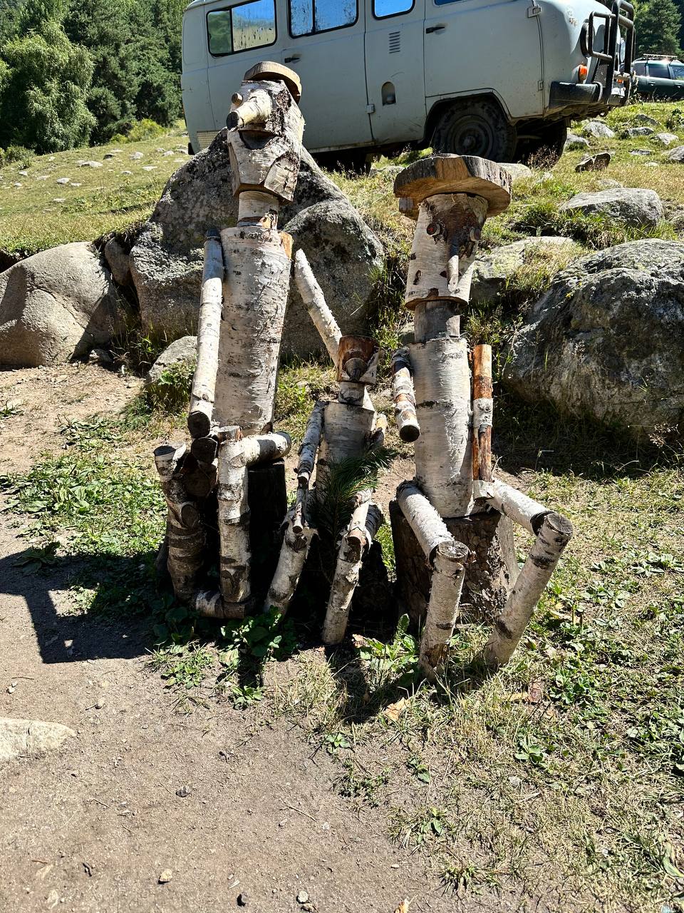 Фото Шафран