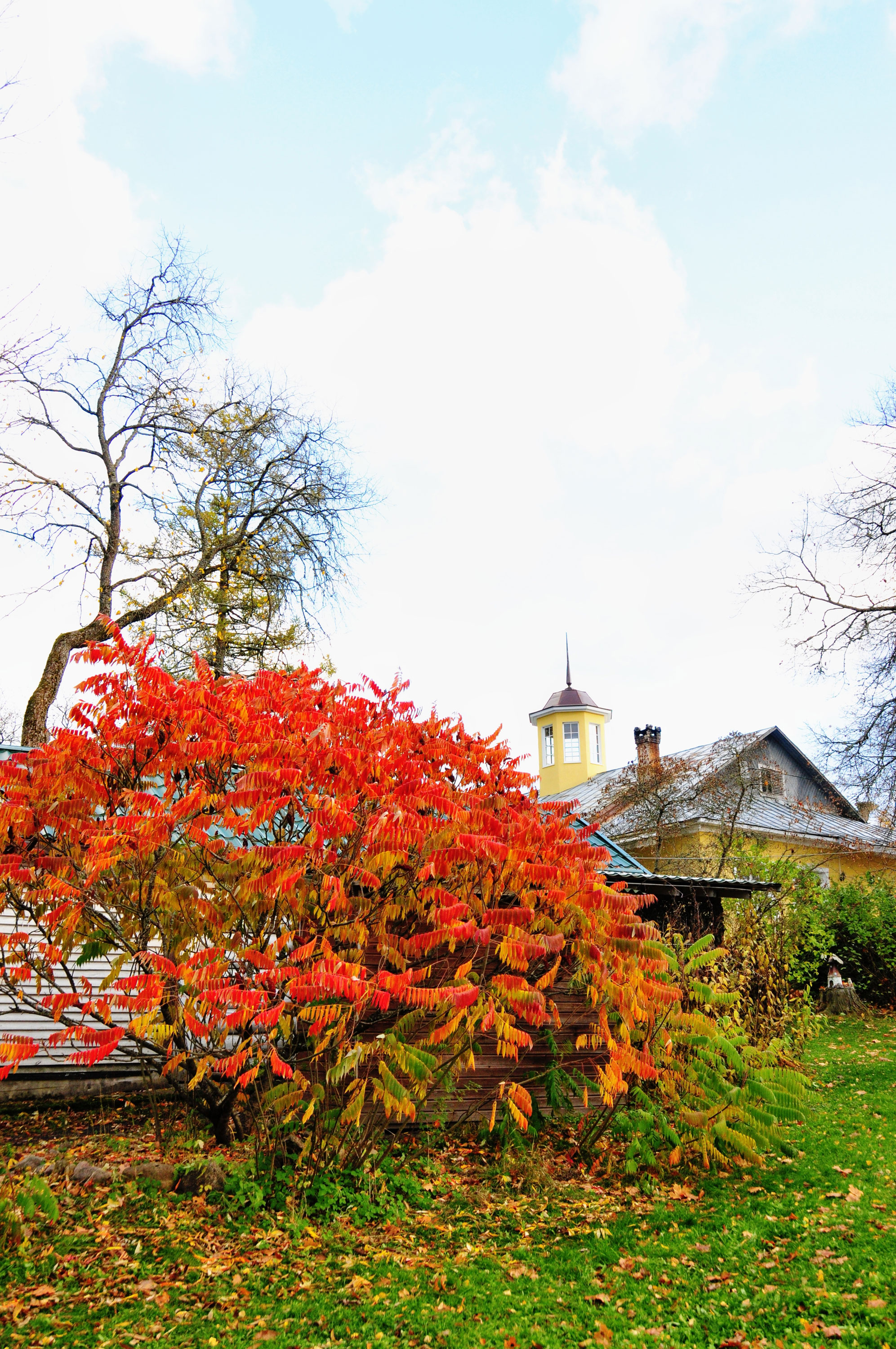 Фото Мишкина дача